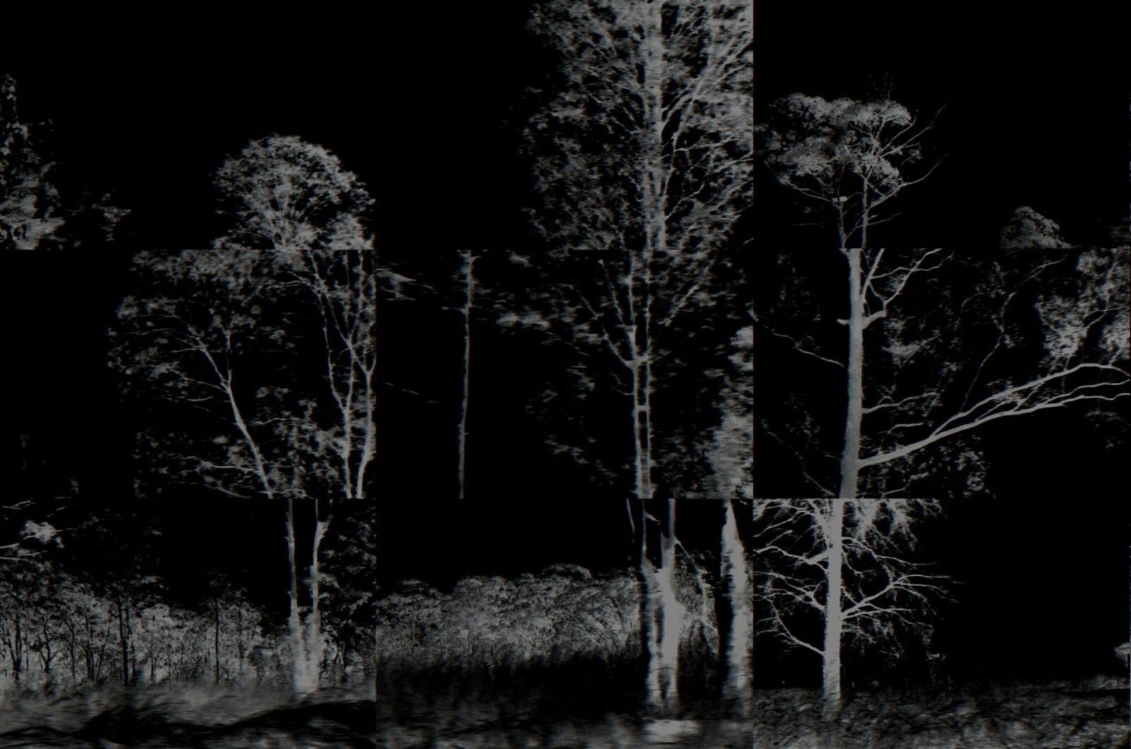 Restless Landscape #1