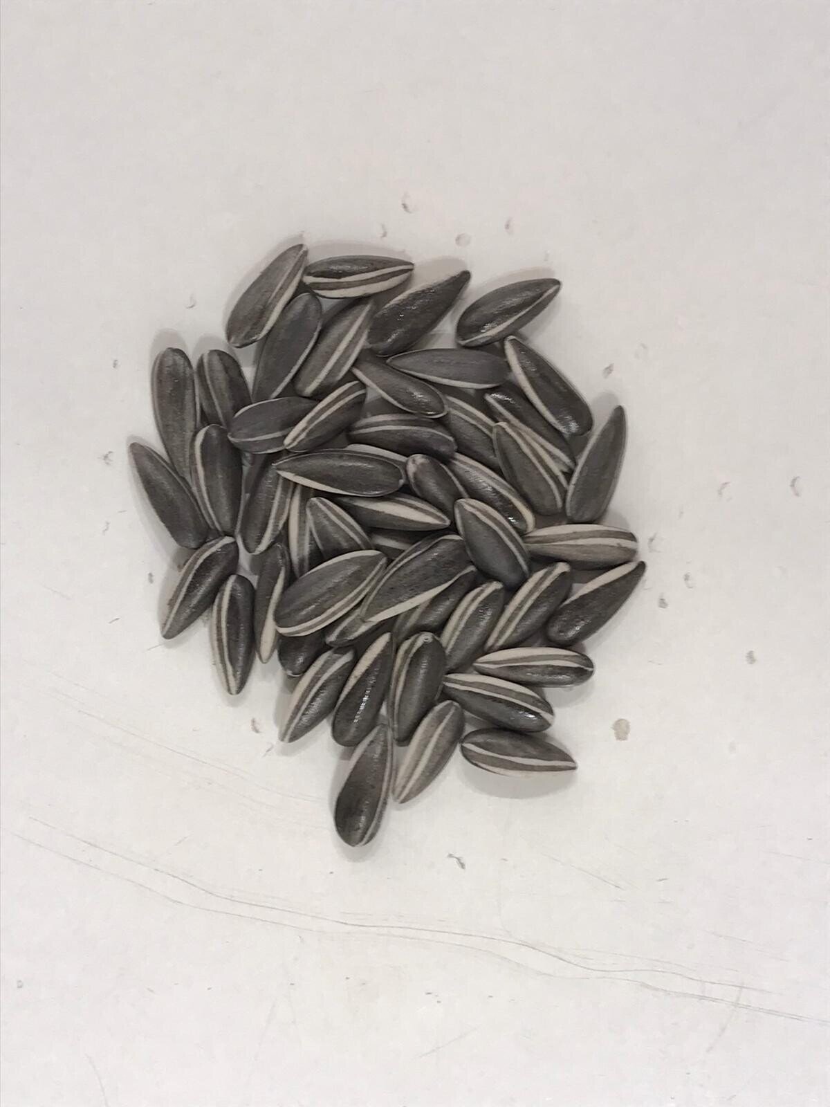 A top-down view of scattered seeds on a plain surface.