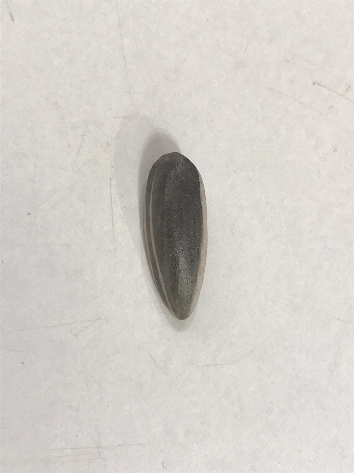 A top-down view of scattered seeds on a plain surface.