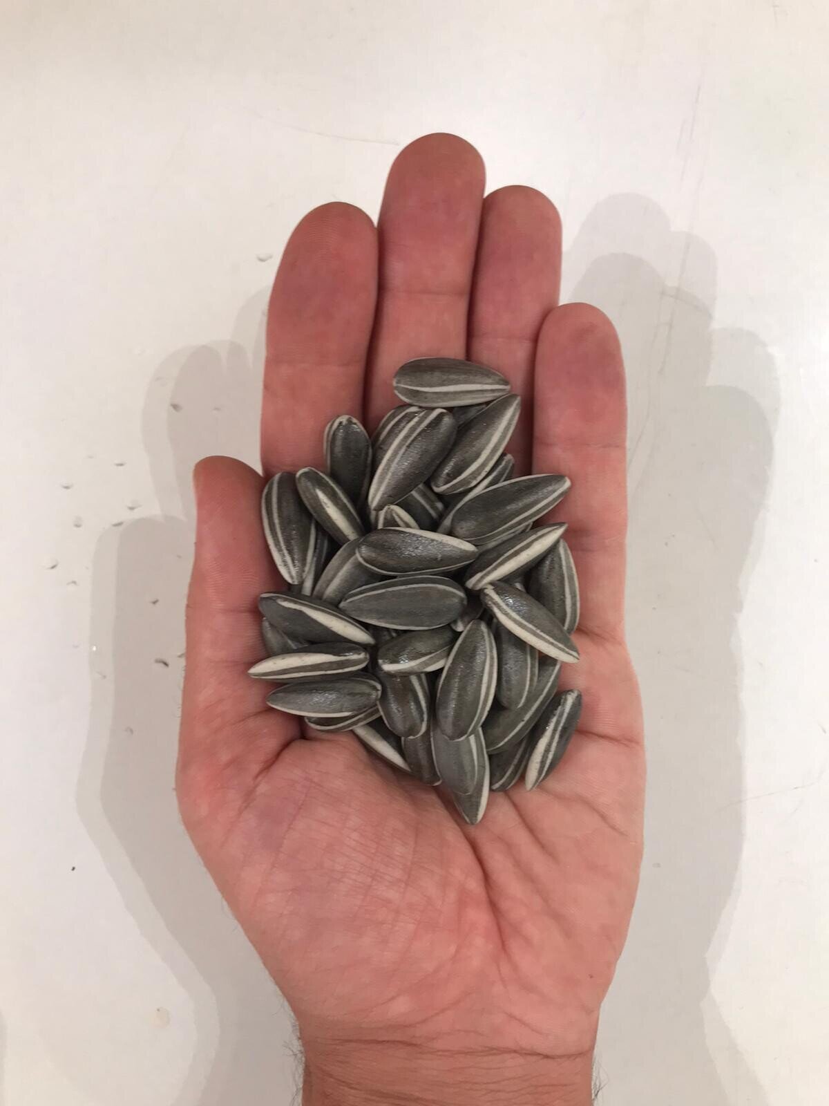 A top-down view of scattered seeds on a plain surface.