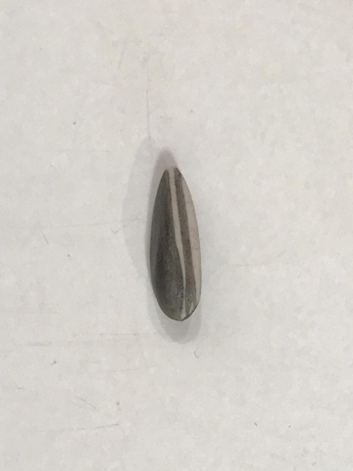 A top-down view of scattered seeds on a plain surface.