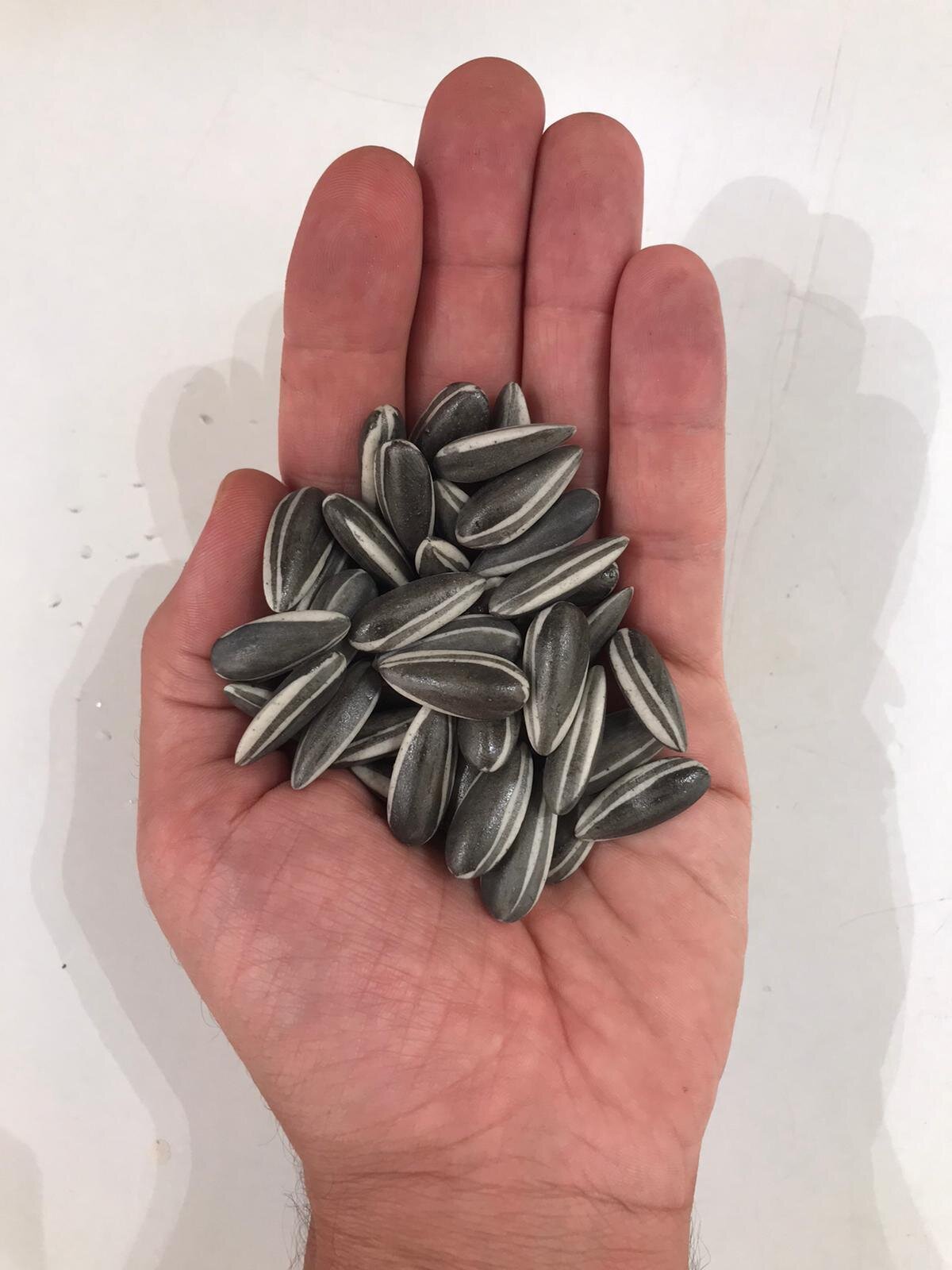 A top-down view of a pile of striped seeds on a white surface.