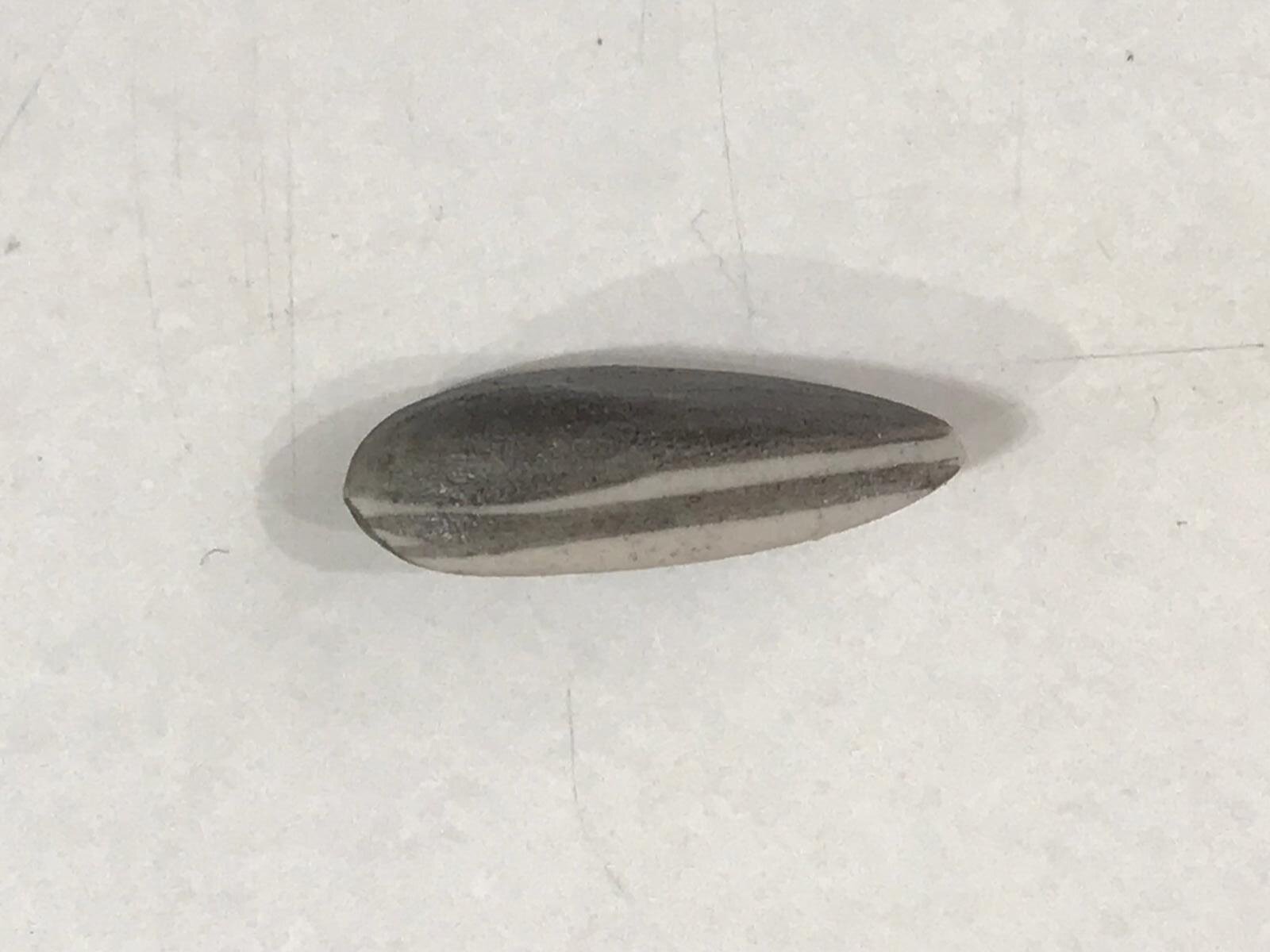 A top-down view of a pile of striped seeds on a white surface.