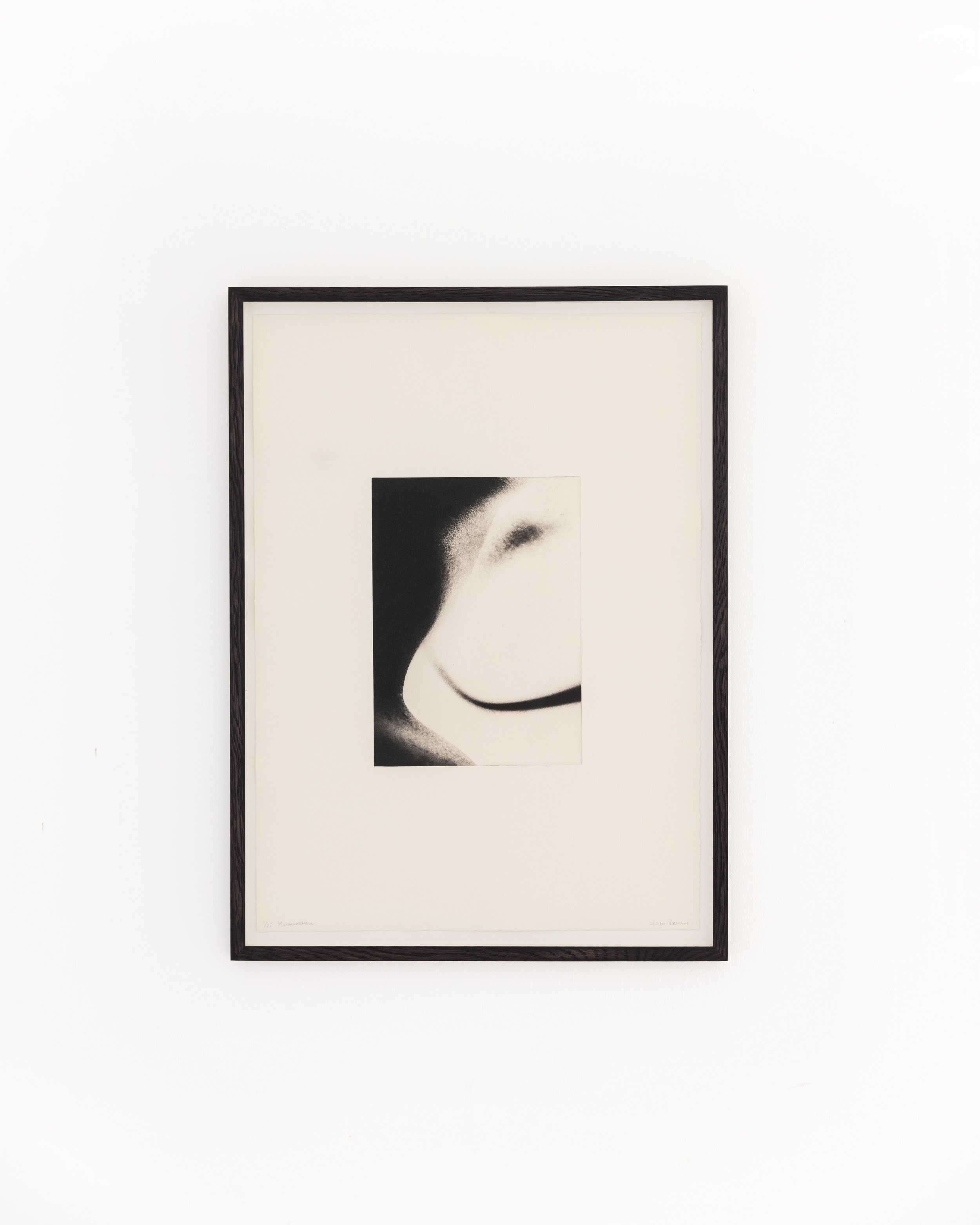 Murmuration by Kirti Virmani, null