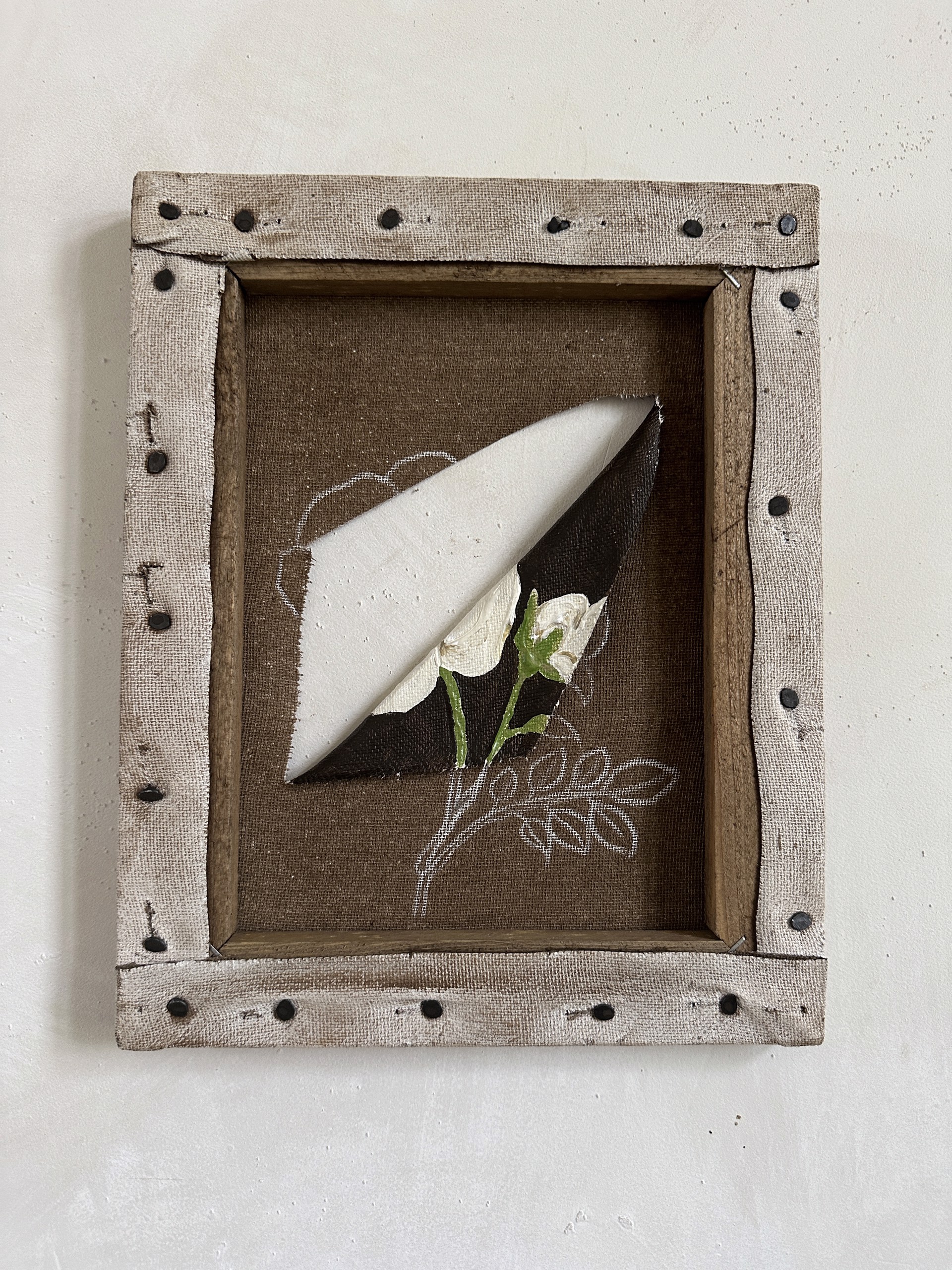 A picture of a paper airplane with a white flower in it.