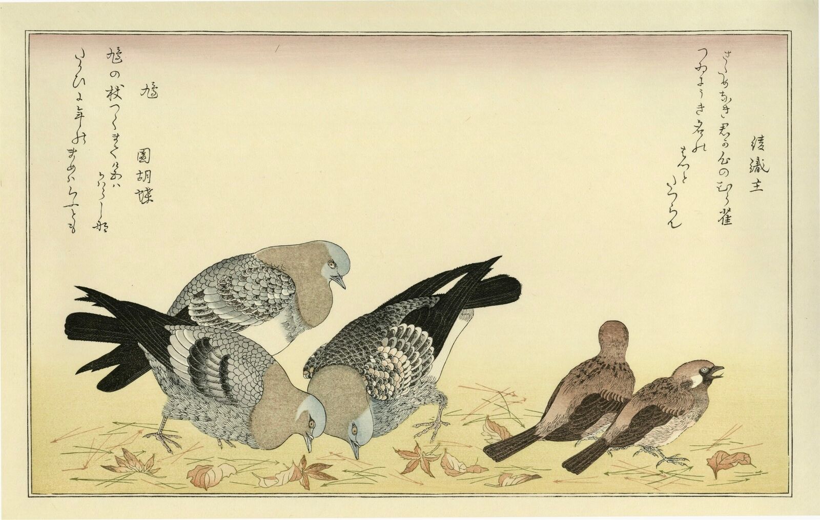 A group of birds sitting on top of a grass covered field.
