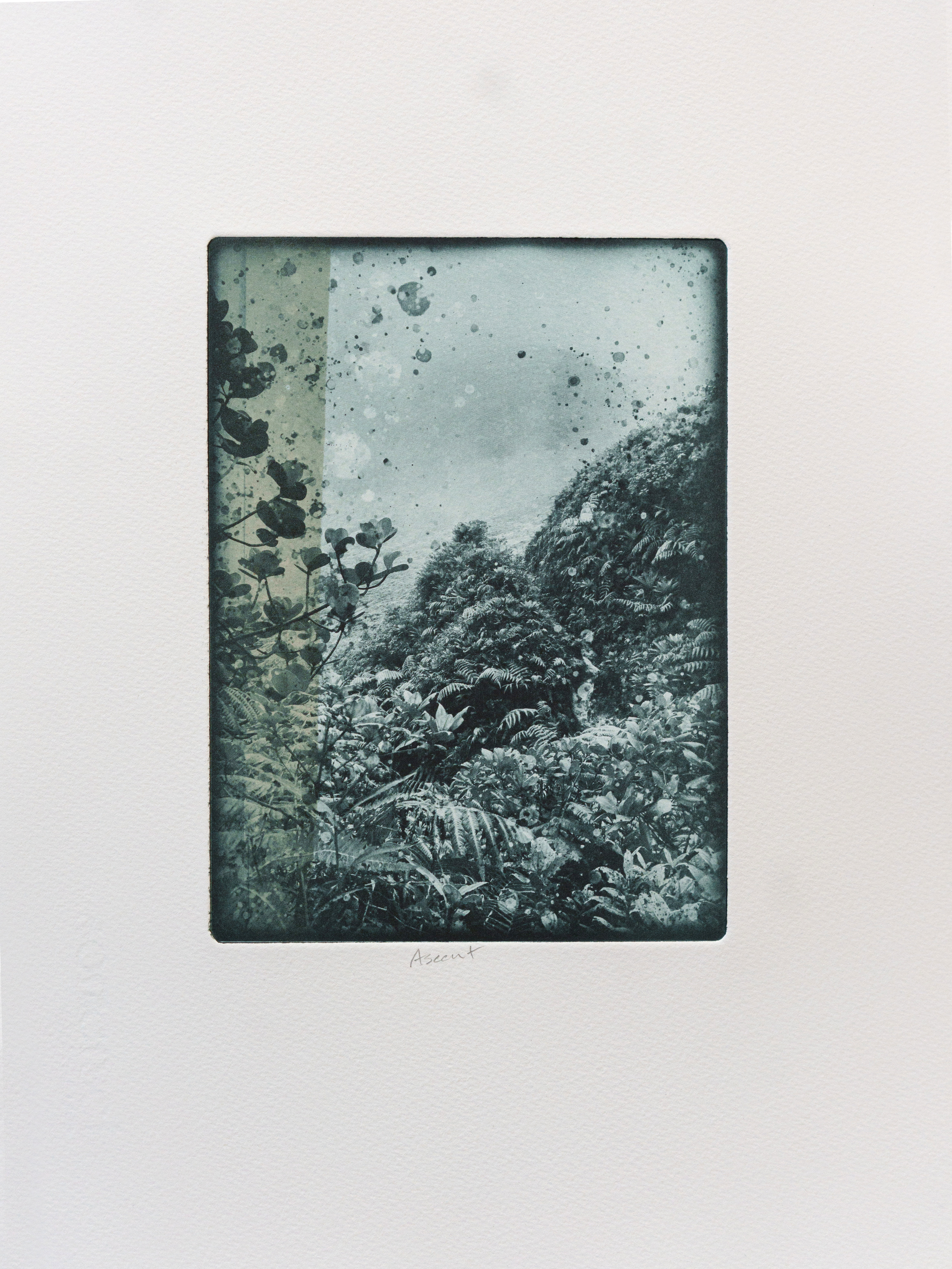 Ascent by Kristina Chan, 2023