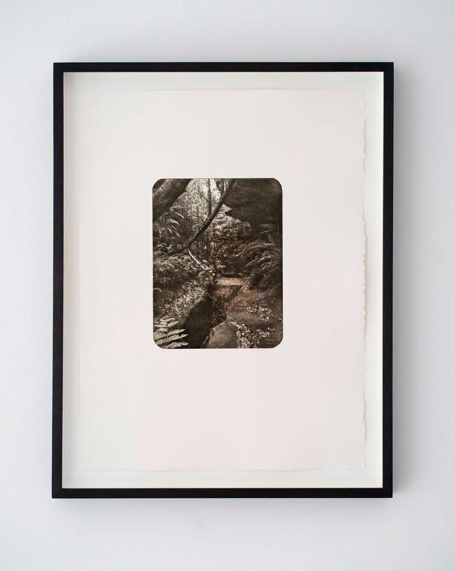 A black and white photo of a stream in the woods.