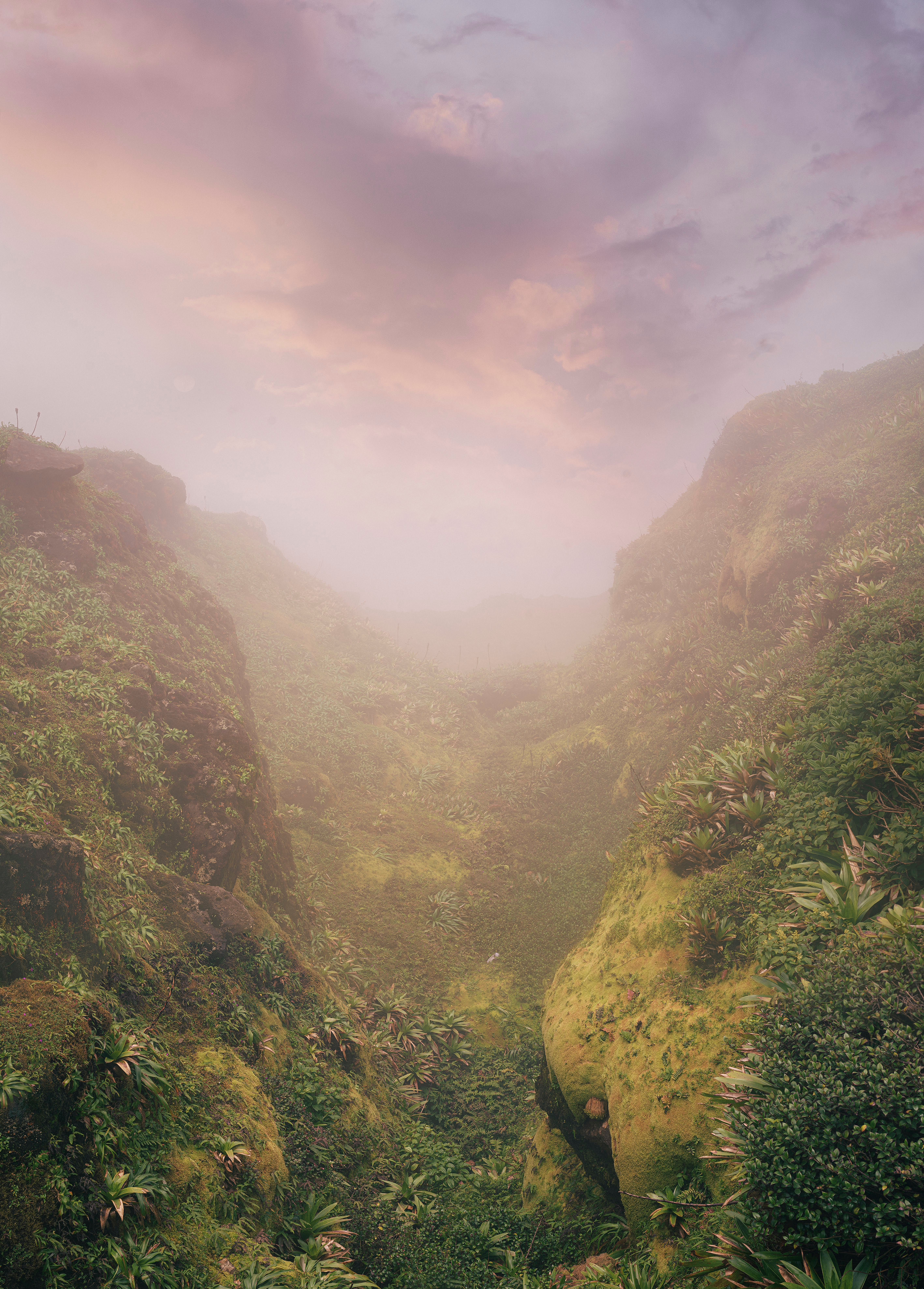 A view of a lush green valley in the middle of a mountain.