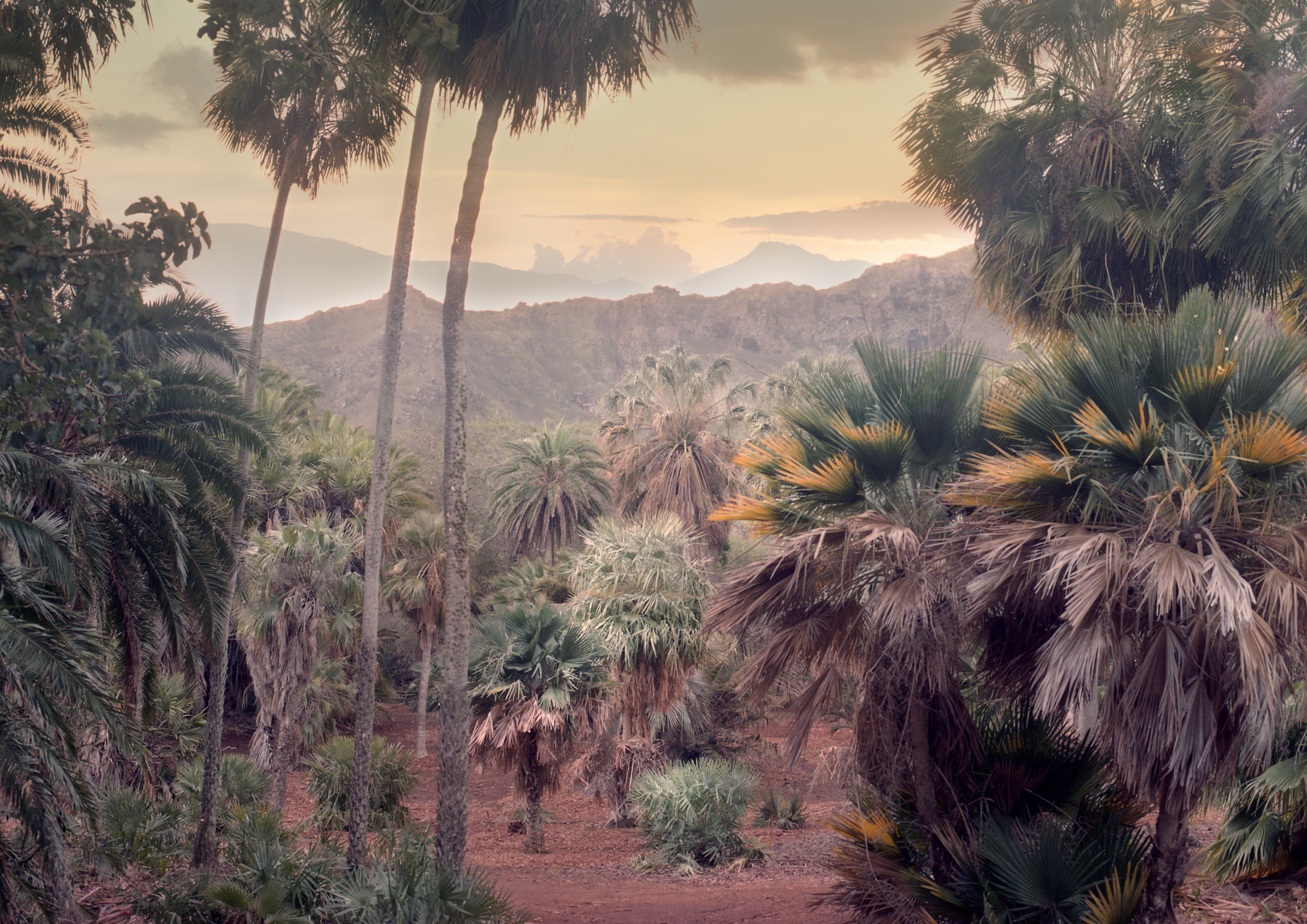 The Crater by Kristina Chan, 2025