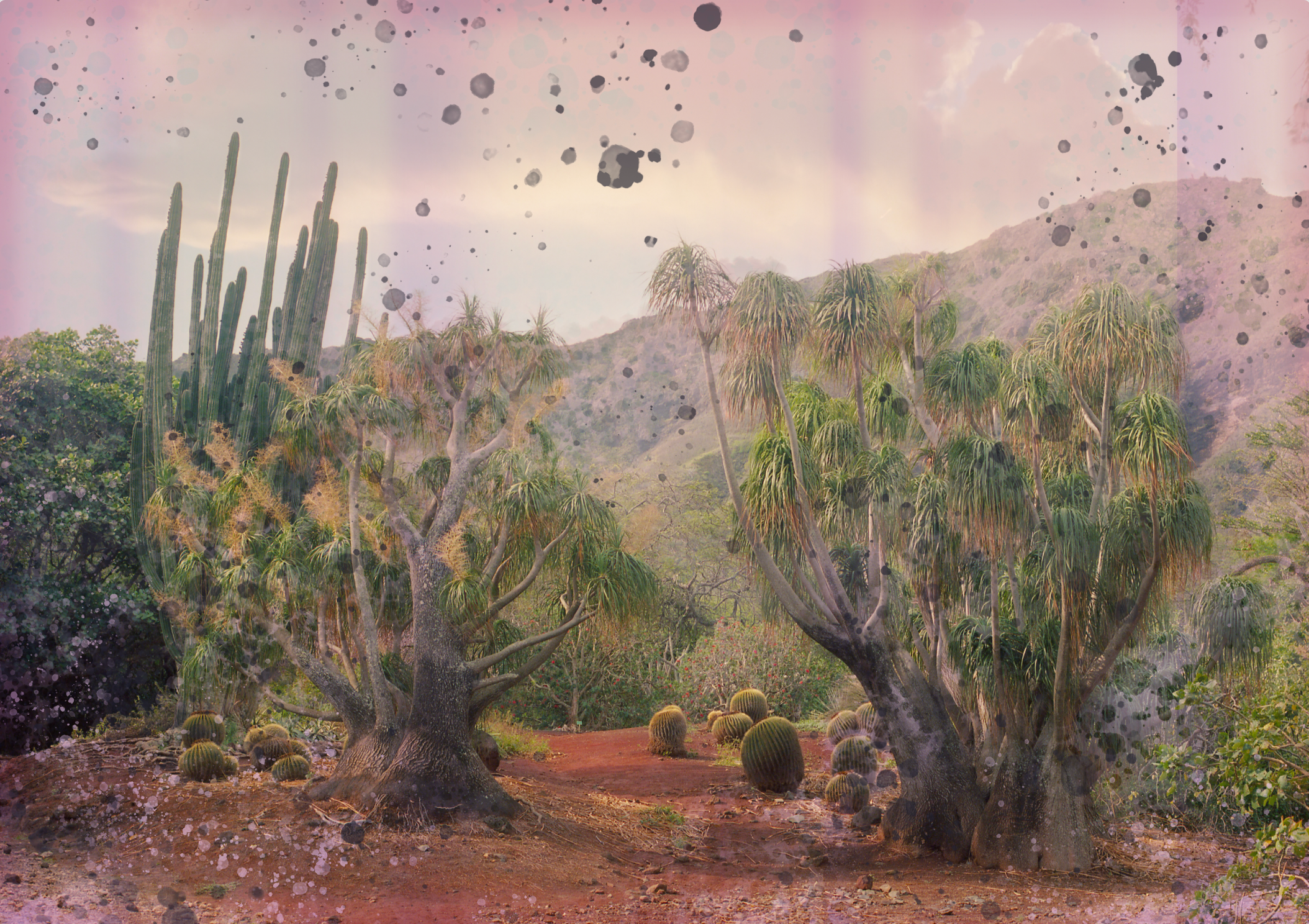 The Crater II by Kristina Chan, 2025