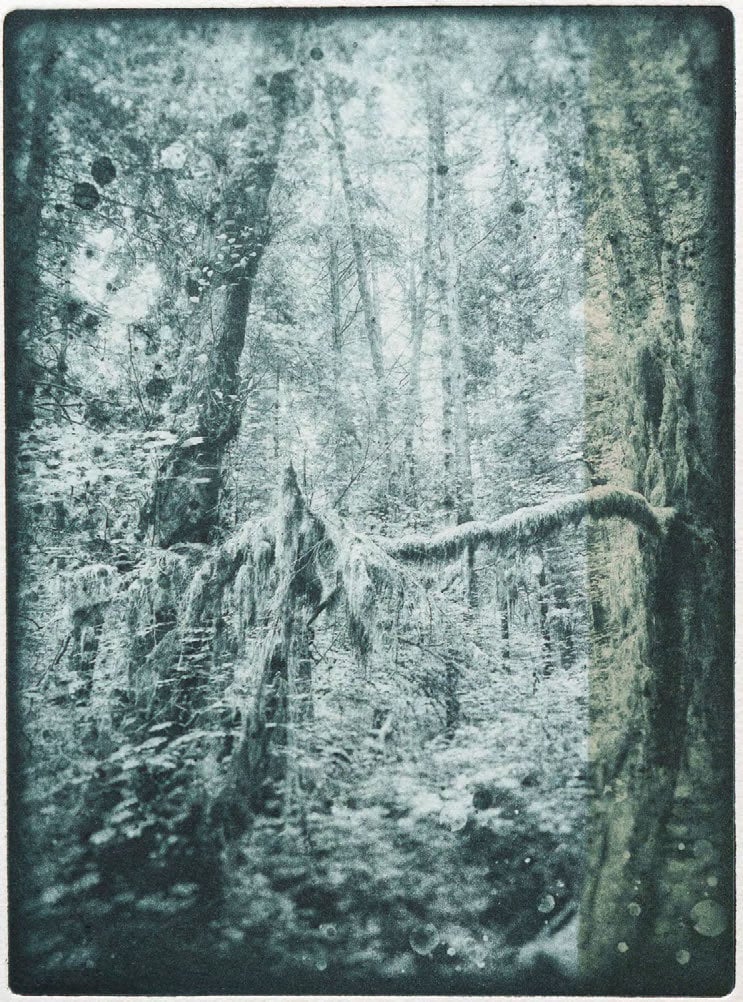 Thicket by Kristina Chan, 2023