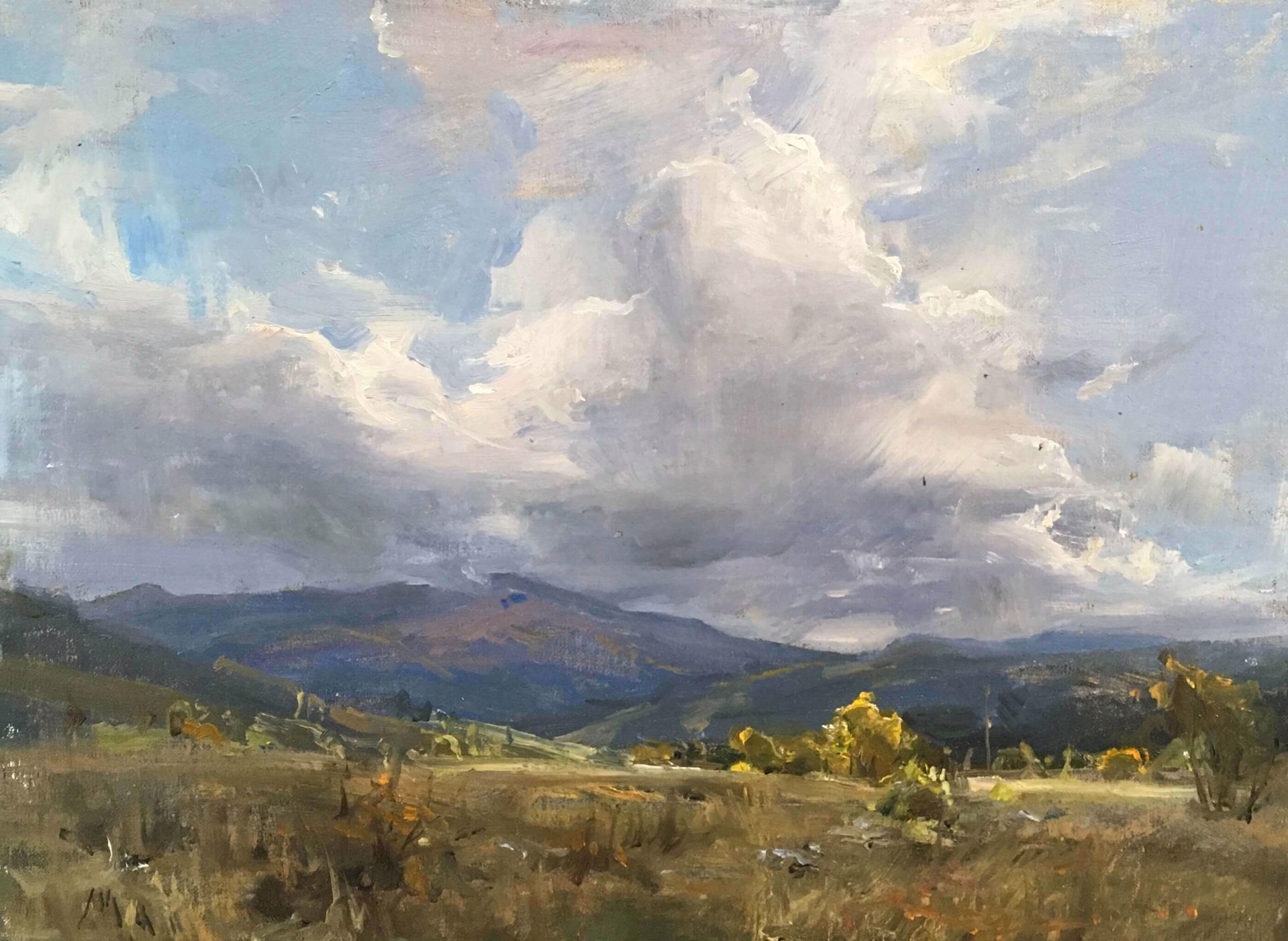 A landscape painting of a grassy field under a dramatic cloudy sky with distant mountains.