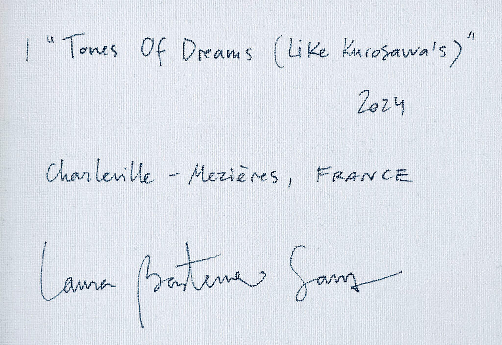 Artwork by Laura Basterra Sanz, Tones Of Dreams (Like Kurosawa's), Made of Acrylic on canvas 