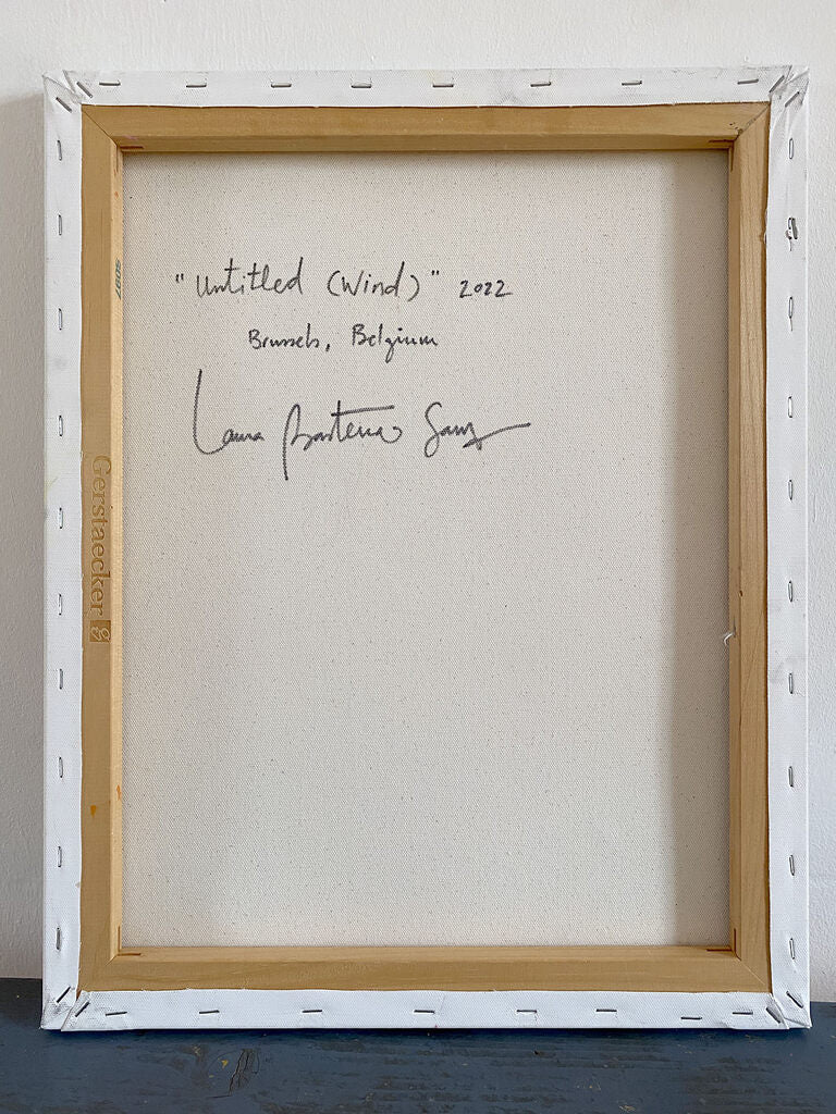 Artwork by Laura Basterra Sanz, Untitled (Wind), Made of Acrylic on canvas 