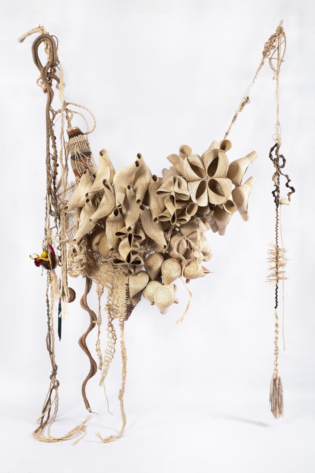 Ninho Comunal (Summer plant) by Laura Lima, 2025