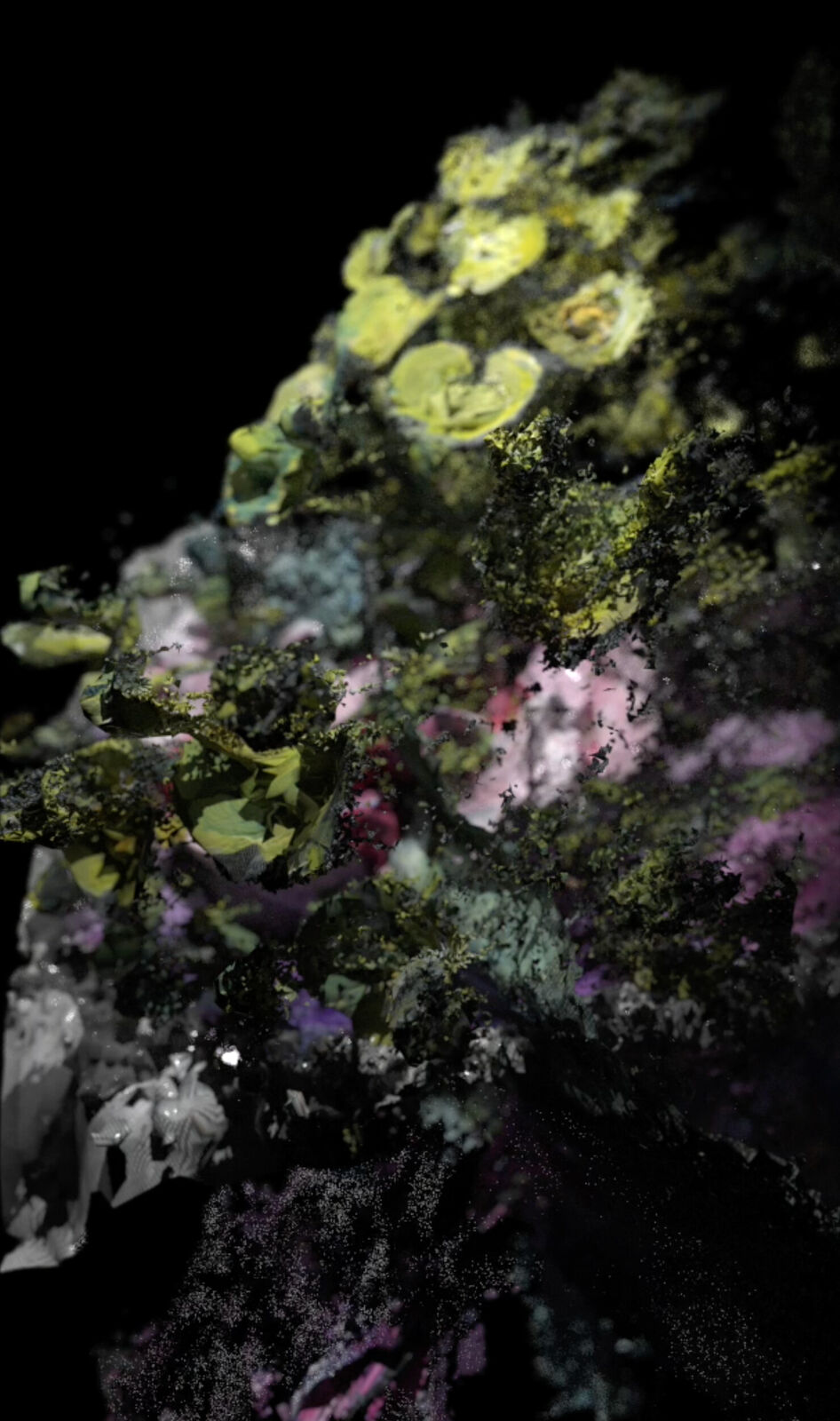 Compost XVII by Lauren Moffatt, 2022