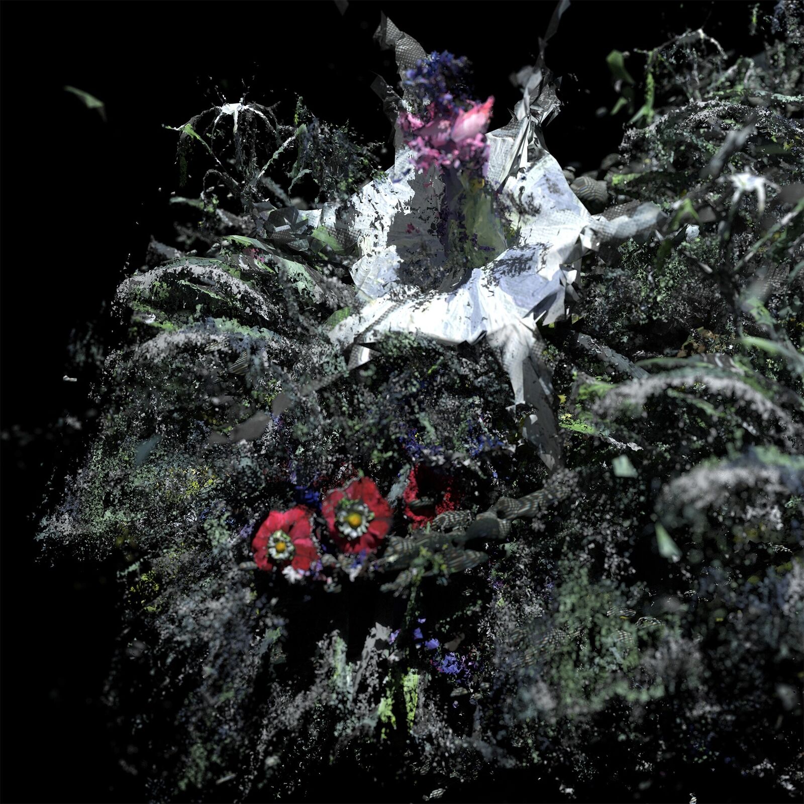 Artwork by Lauren Moffatt, Compost XV, Made of Pigment print on Hahnemühle Photo Rag 