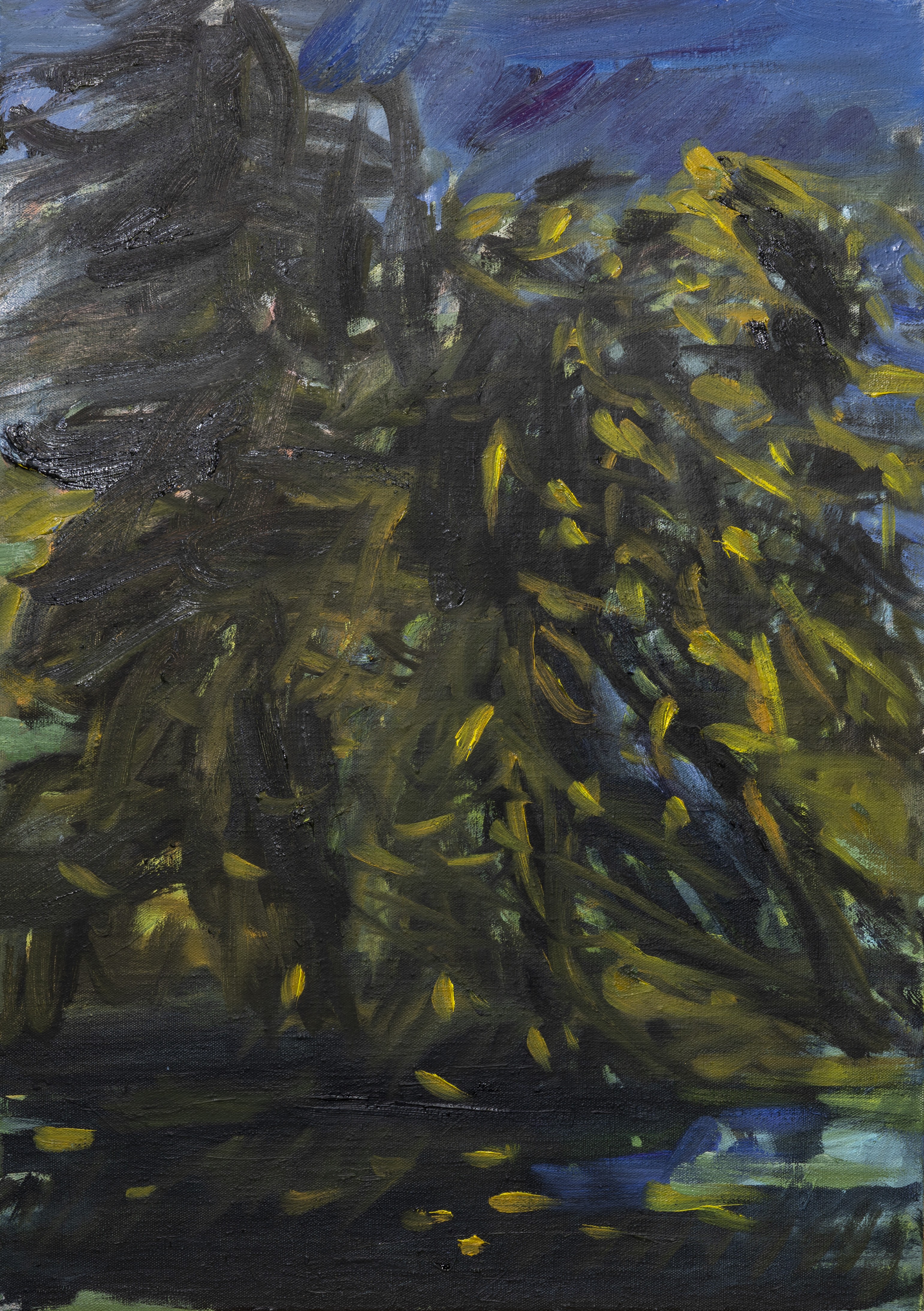 Ombres by Laurence  Forbin, 2023