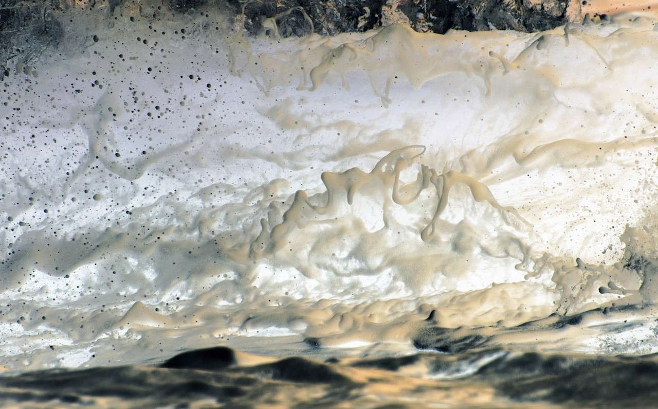 A close-up of a textured surface with layered, organic forms and scattered dark specks.