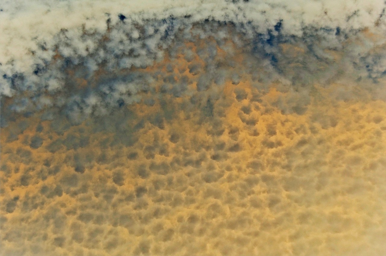 A textured close-up of a honeycomb-like surface with warm yellow tones and dark blue accents.