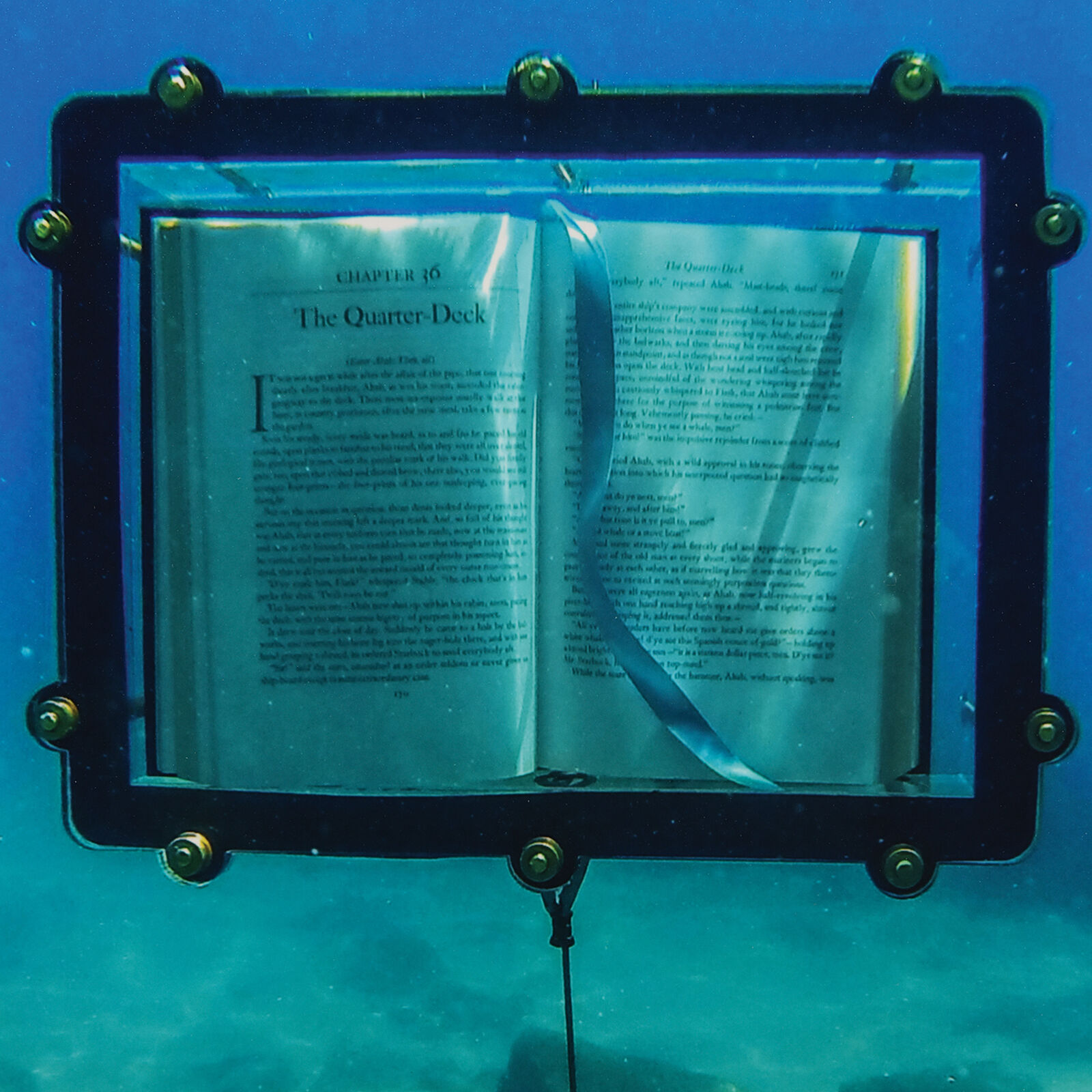 A surreal installation featuring an open book suspended by a wire from a framed underwater photograph.