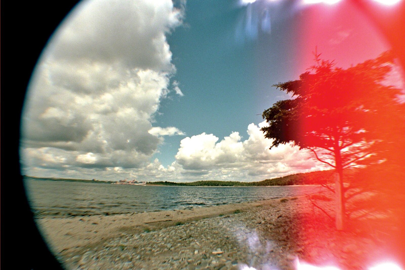 A circular fisheye view of a lake shore with a tree bathed in intense red light.
