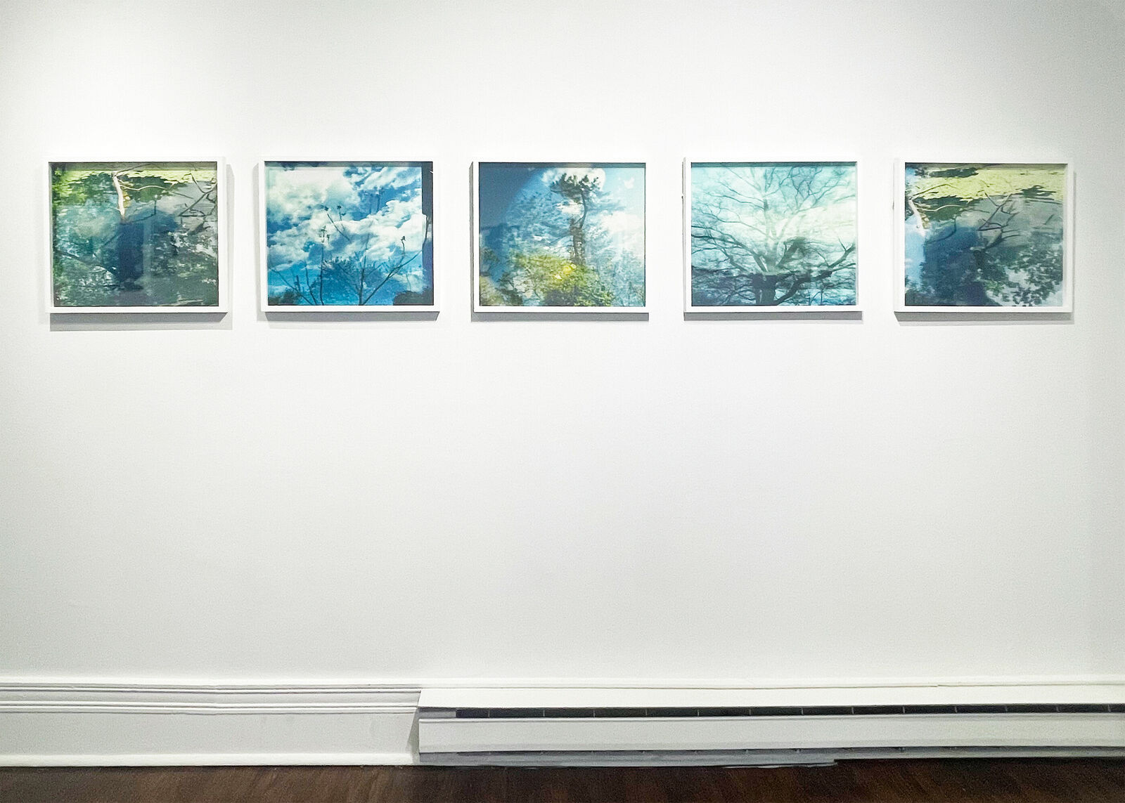 A dreamlike forest scene where a tall pine tree merges with its reflection in water, creating an ethereal double-exposure effect.