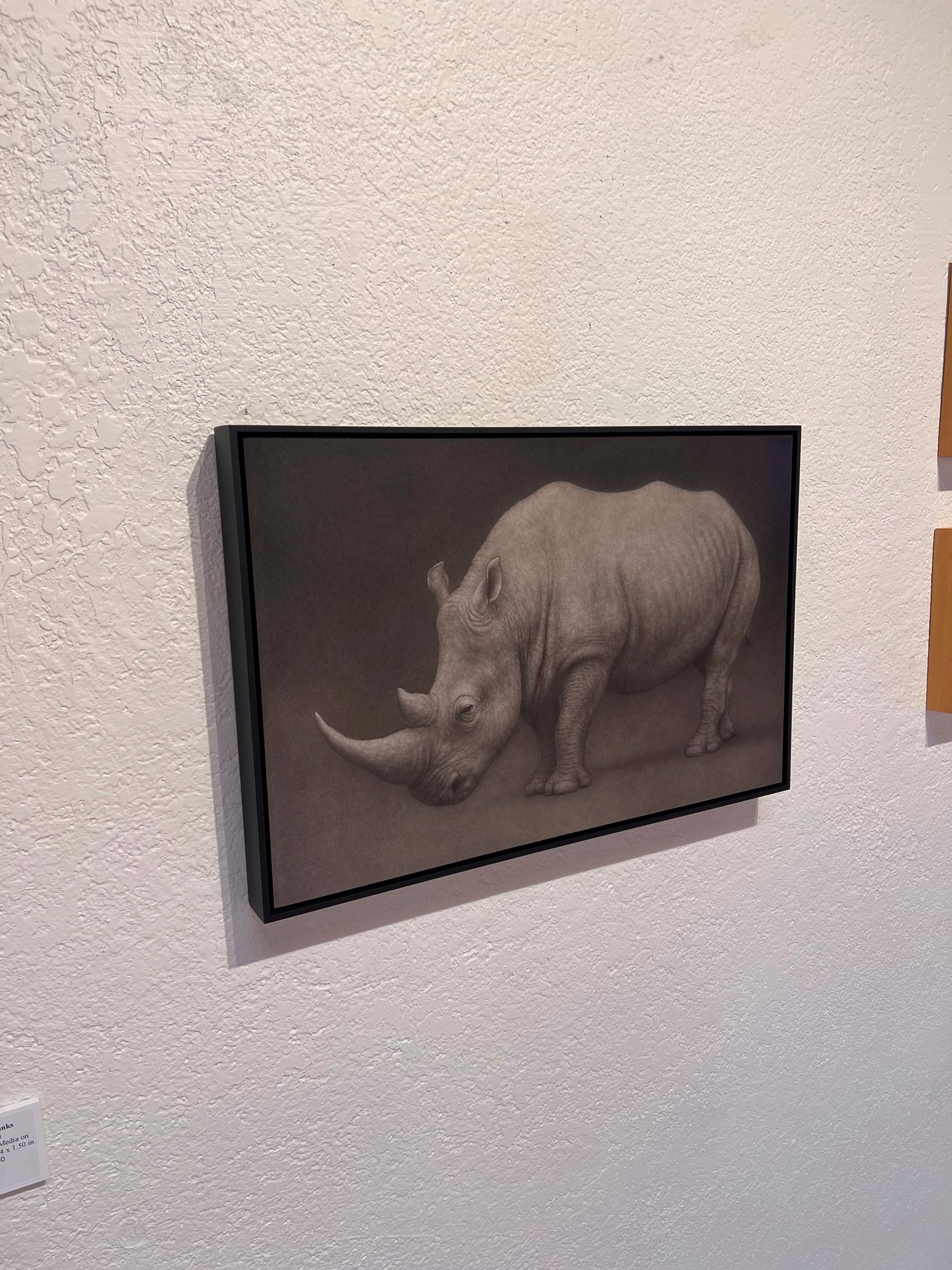 A drawing of a rhino on a black background.