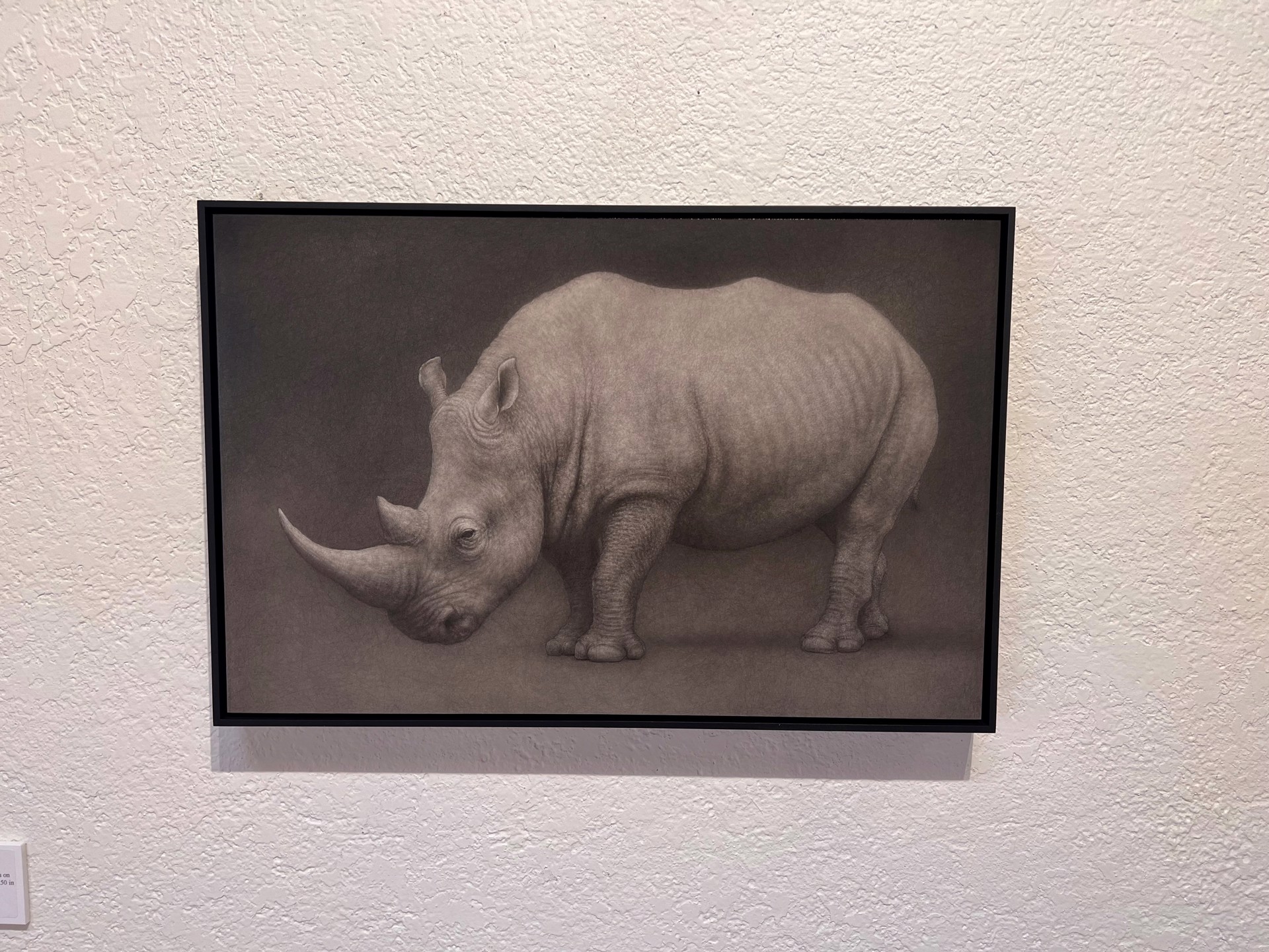 A drawing of a rhino on a black background.