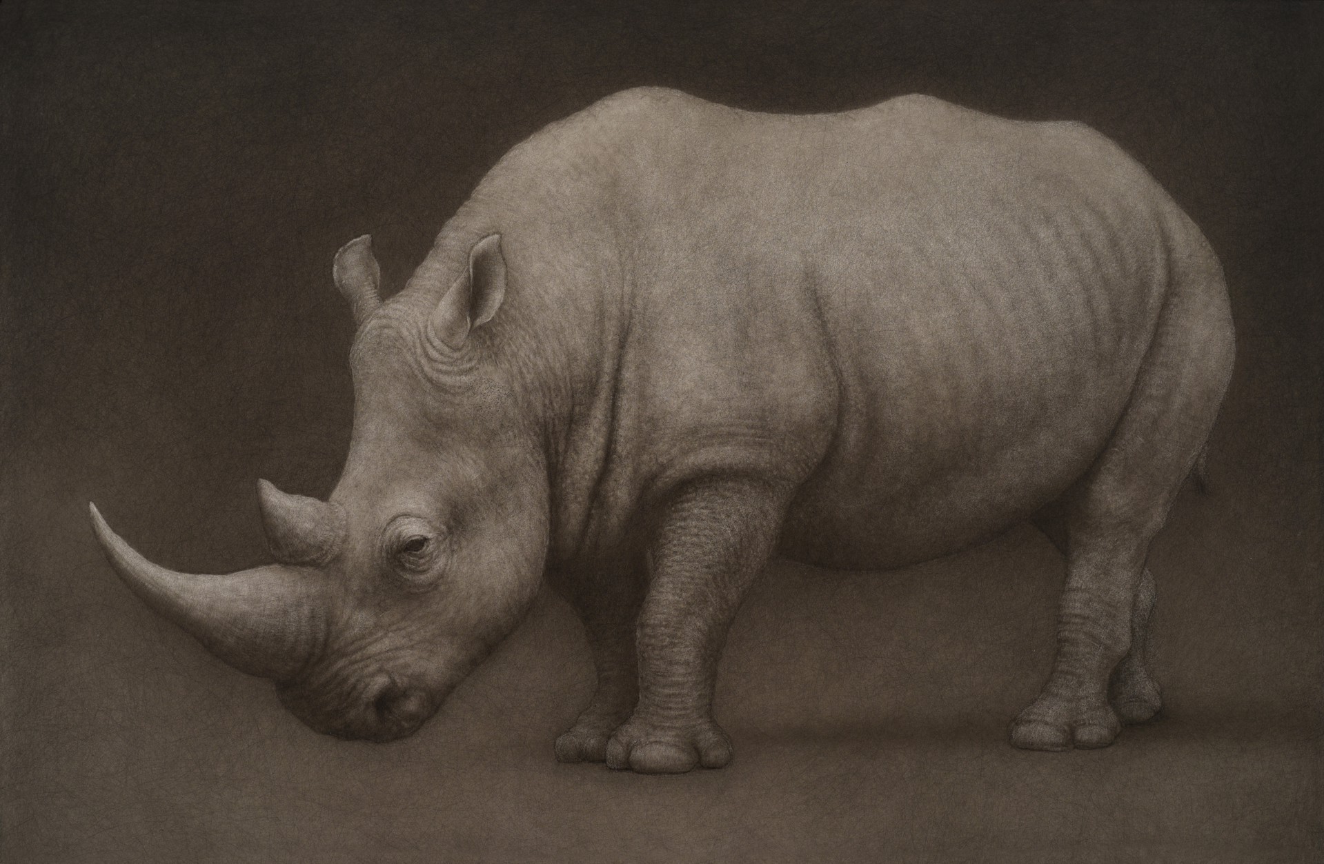 A drawing of a rhino on a black background.
