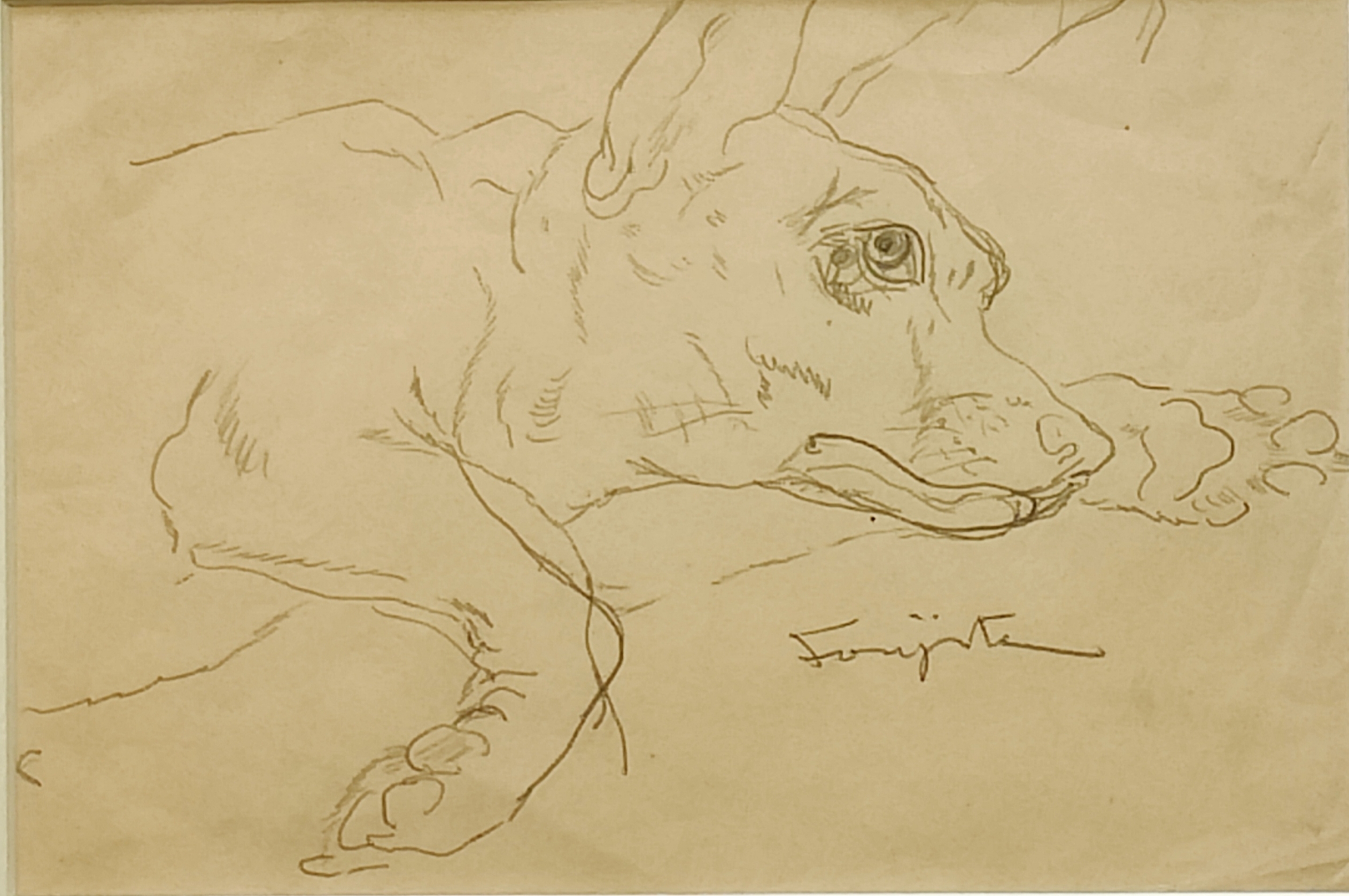 A drawing of a dog laying down on the ground.