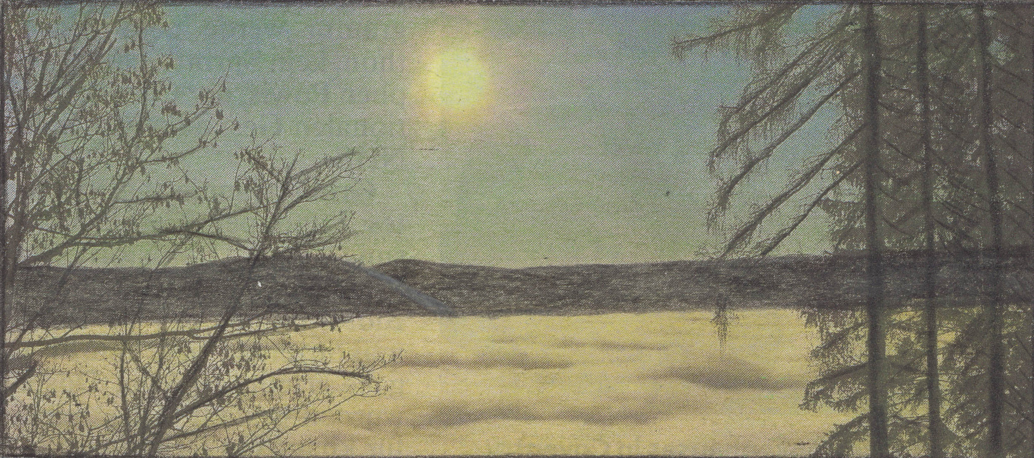 A picture of a lake with trees in the foreground.