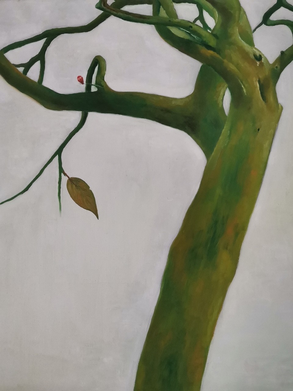 A solitary tree with a single leaf against a blank background.