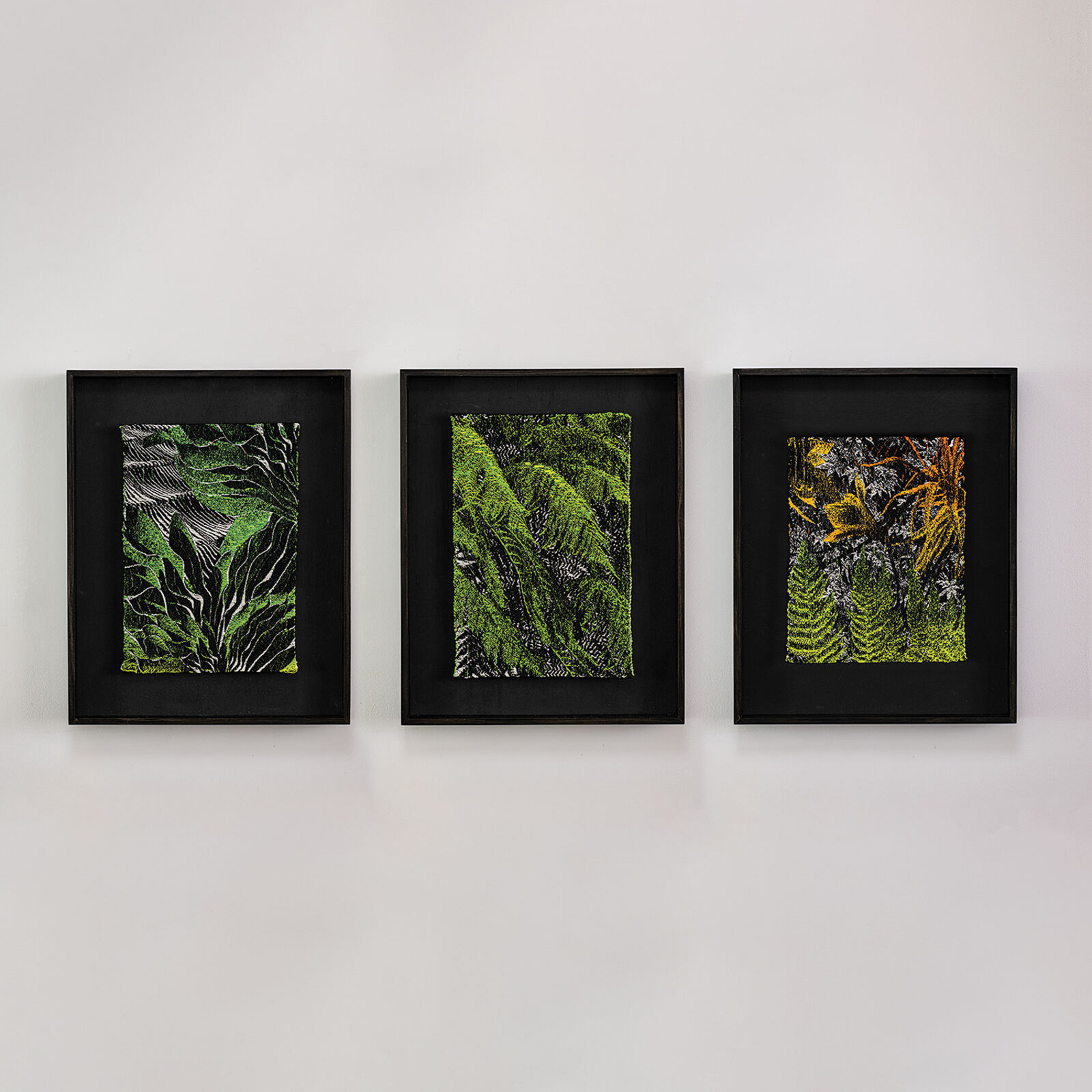 A picture of a green plant in a black frame.