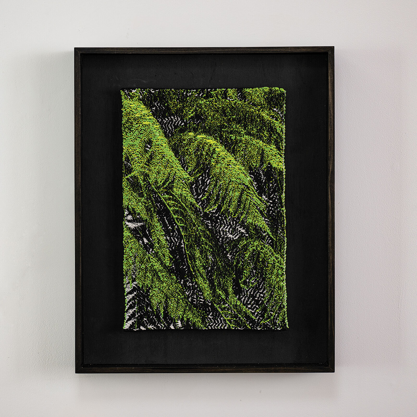 A picture of a green plant in a black frame.