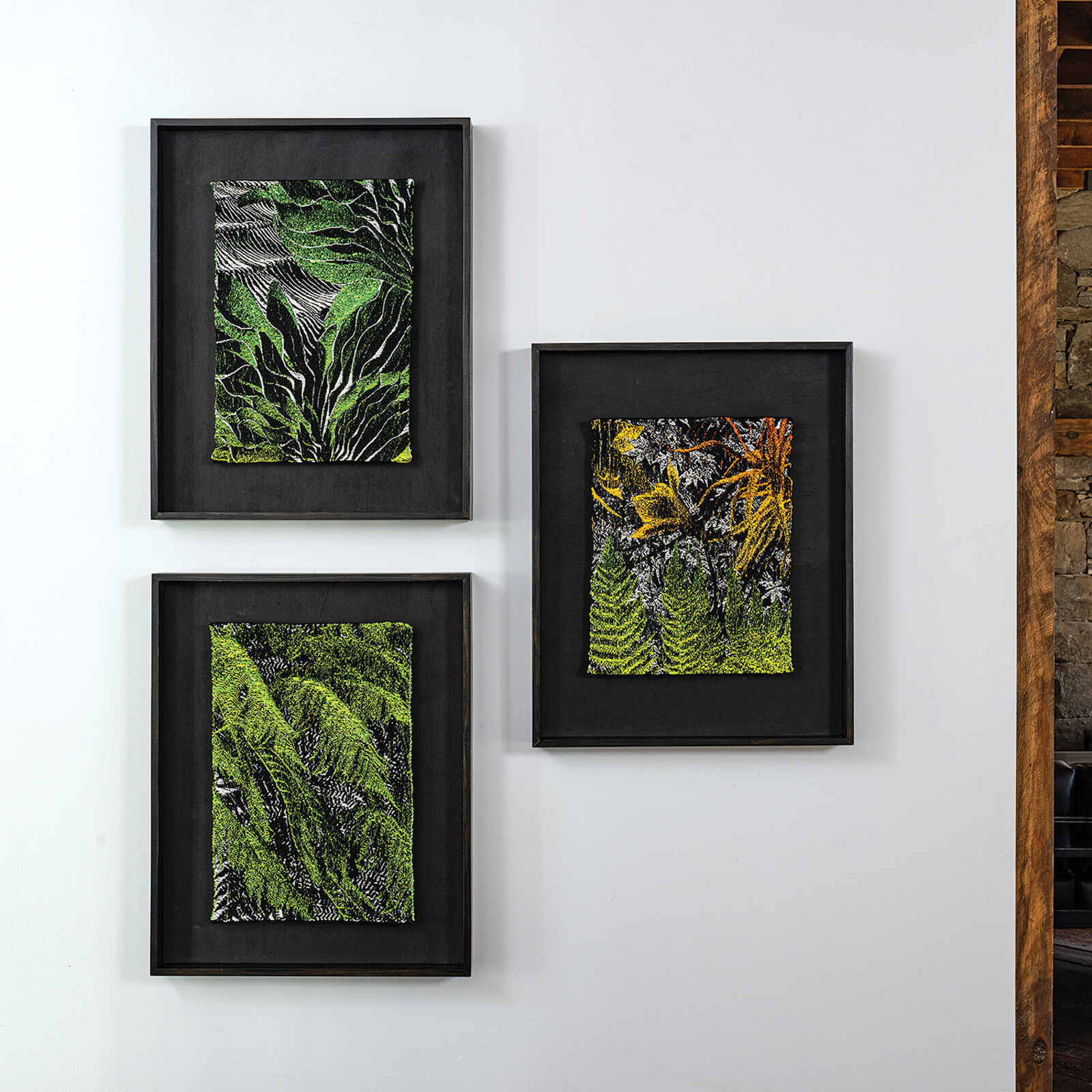 A picture of a green plant in a black frame.