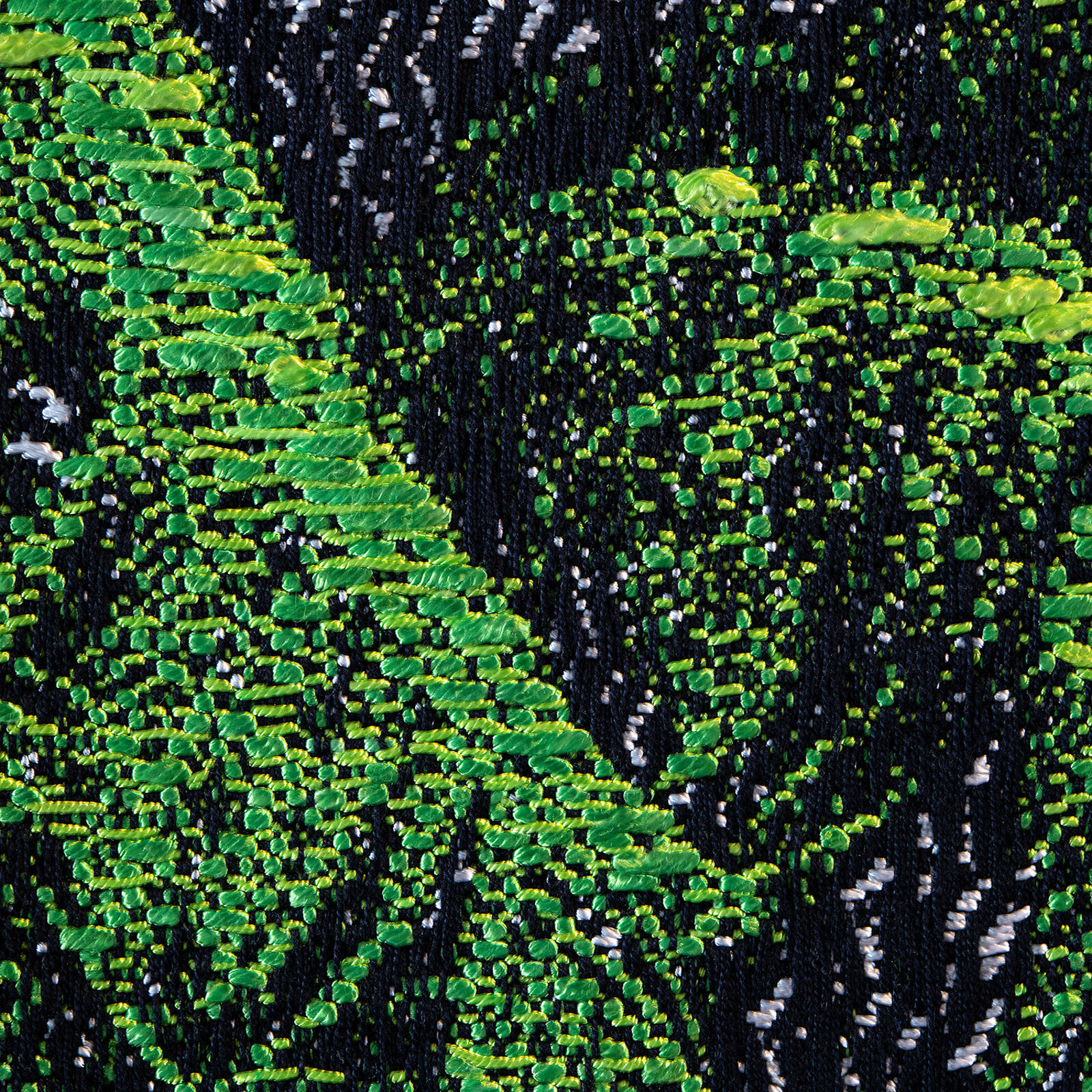 A picture of a green plant in a black frame.