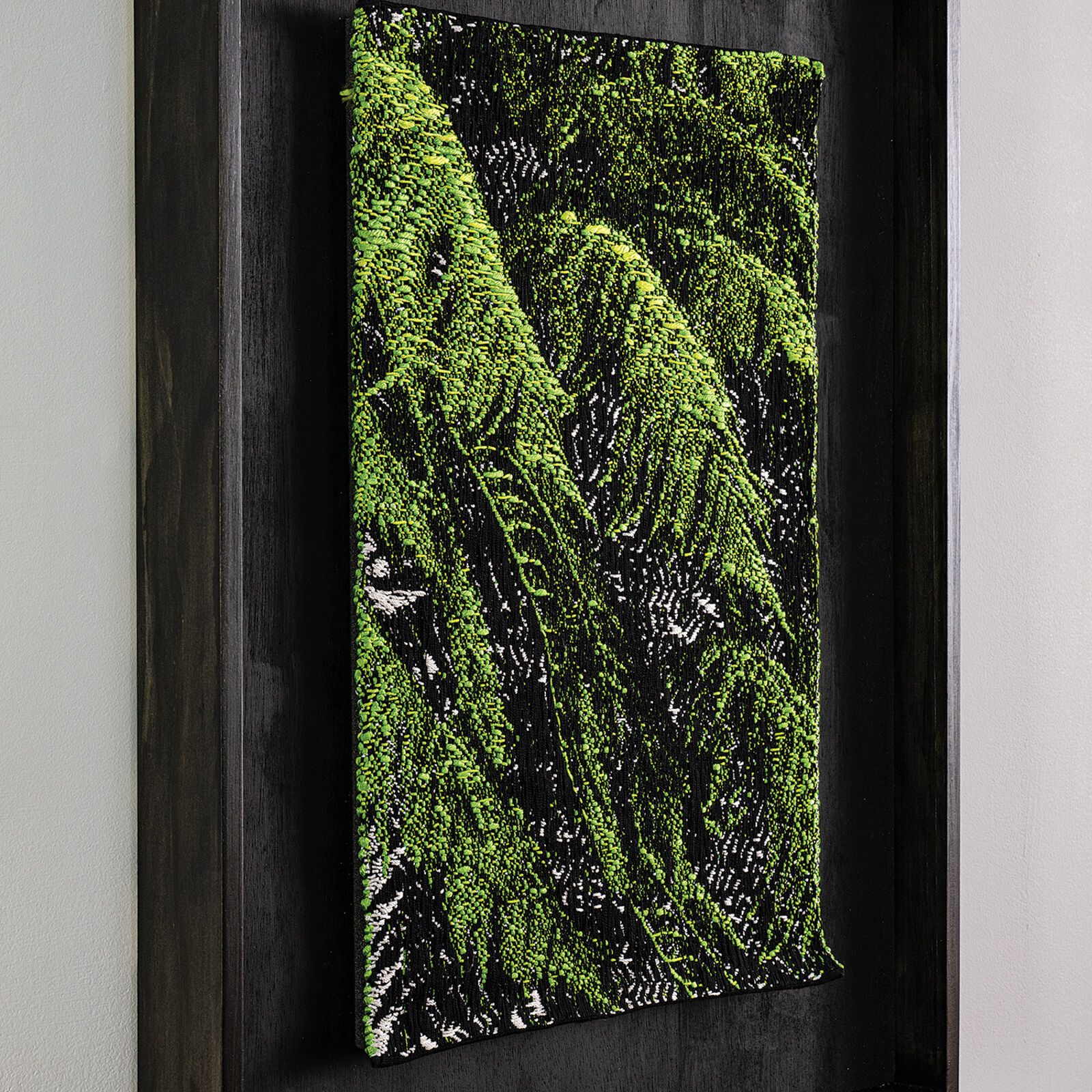 A picture of a green plant in a black frame.