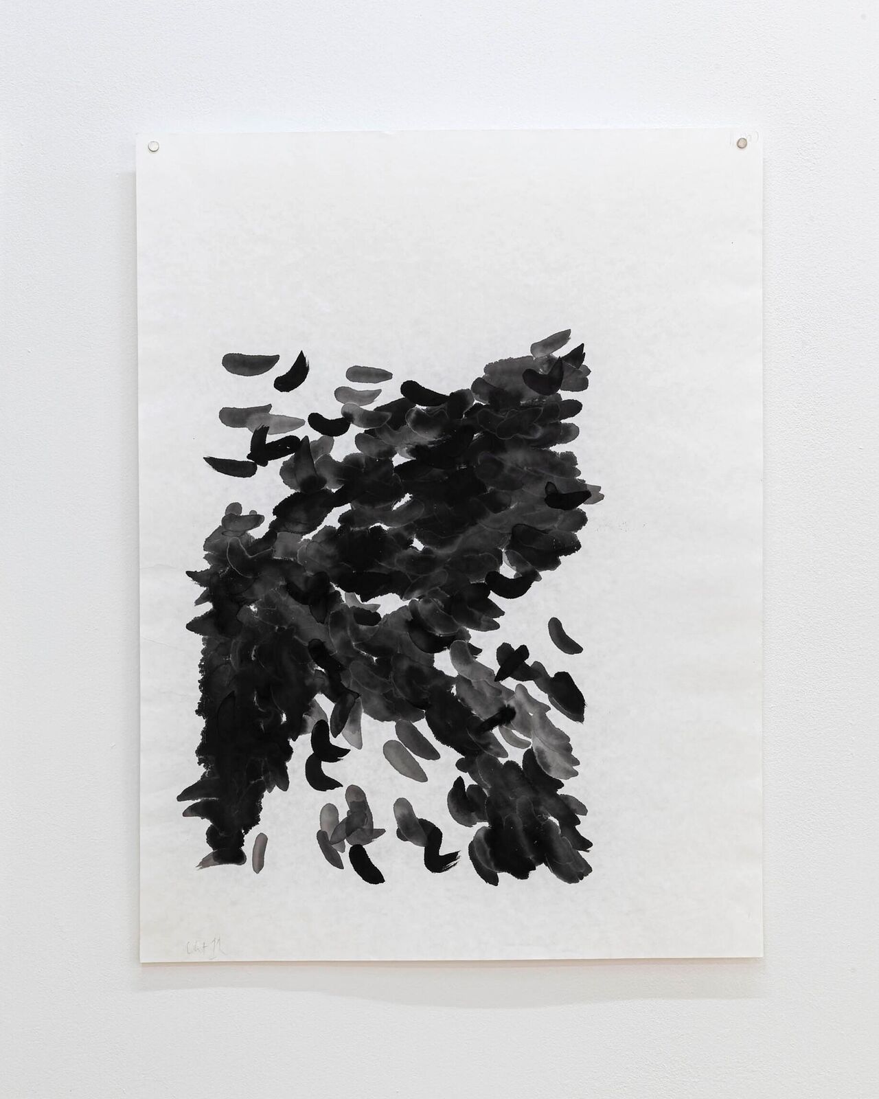 A monochromatic ink study of a dense, organic cluster against a stark white background.