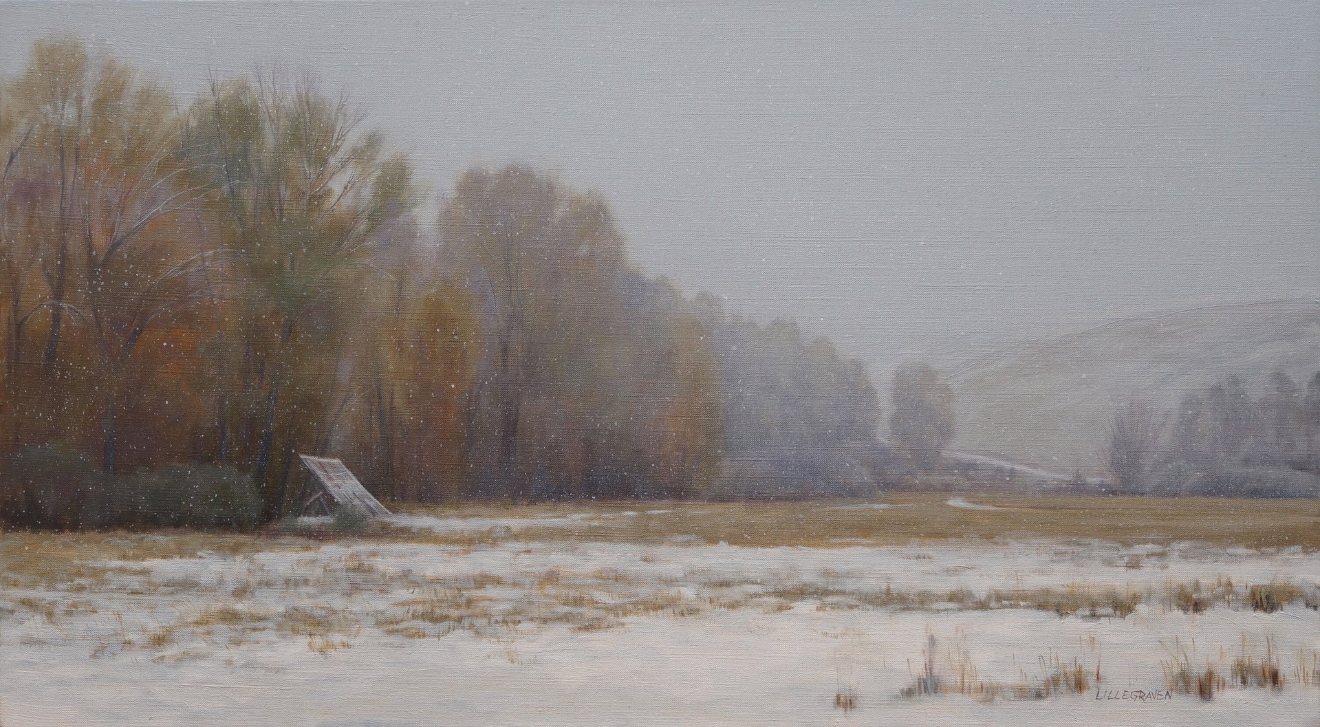 A quiet winter landscape with snow-covered ground, a line of trees, and a slanted board leaning against them.