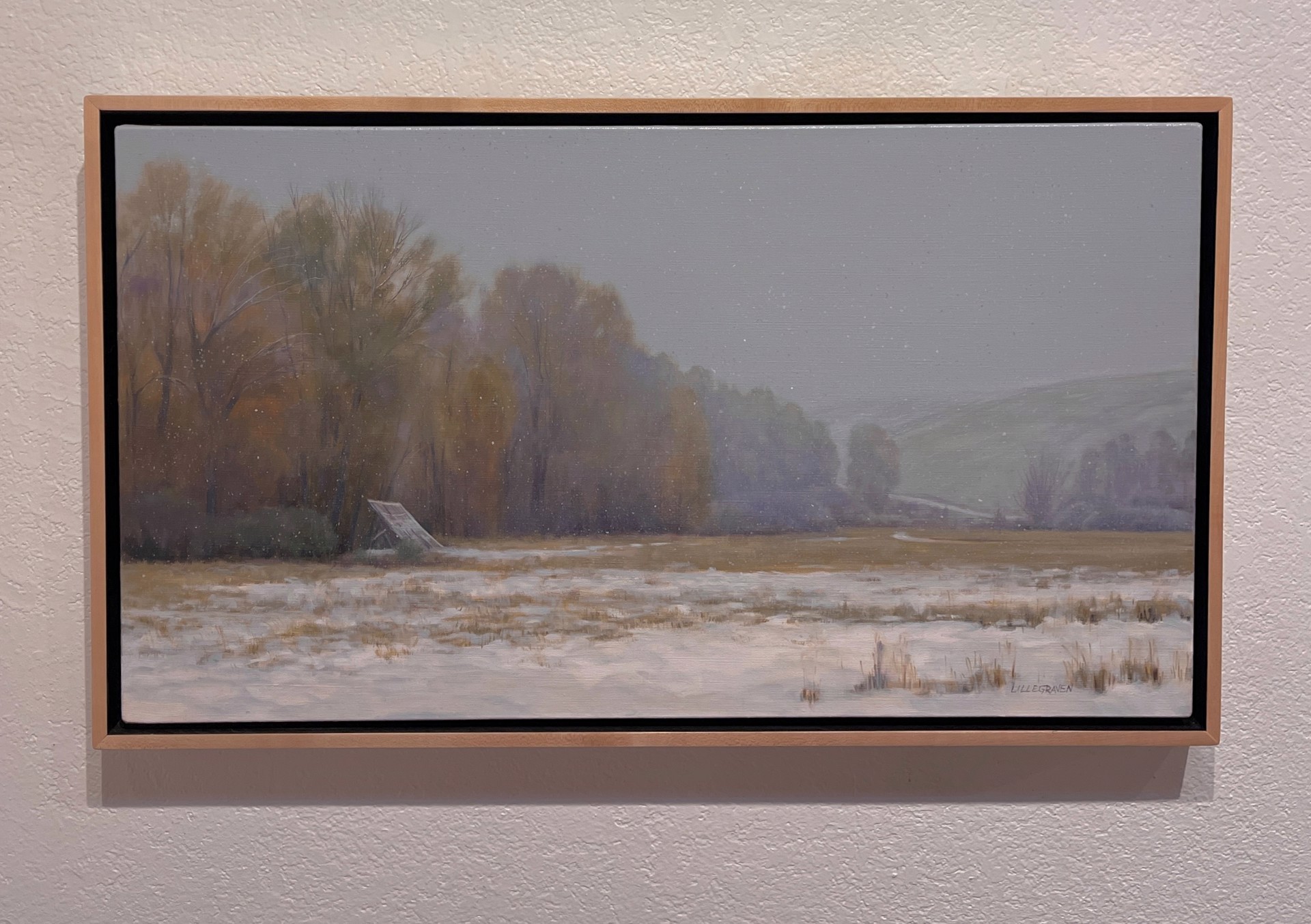 A quiet winter landscape with snow-covered ground, a line of trees, and a slanted board leaning against them.