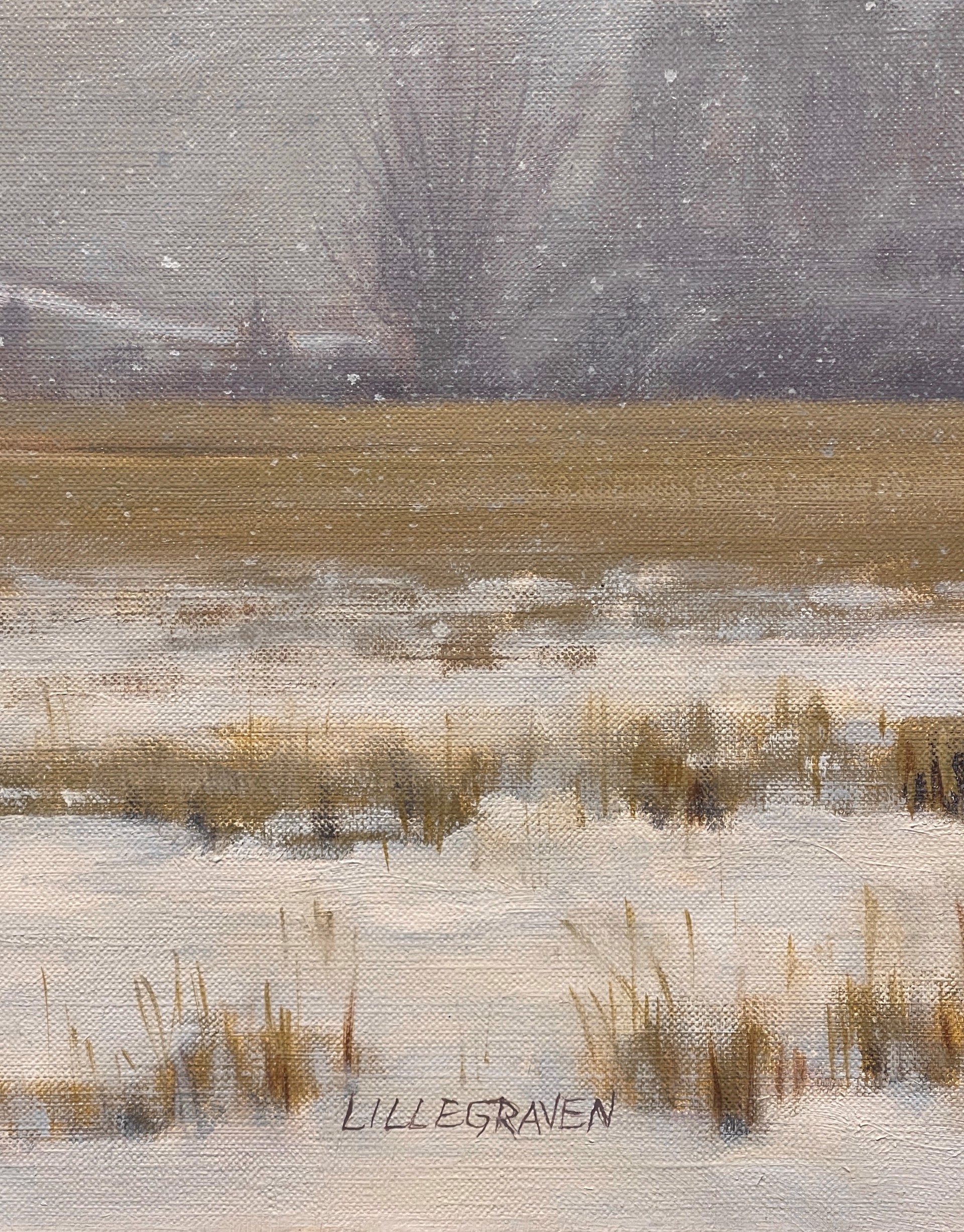 A quiet winter landscape with snow-covered ground, a line of trees, and a slanted board leaning against them.