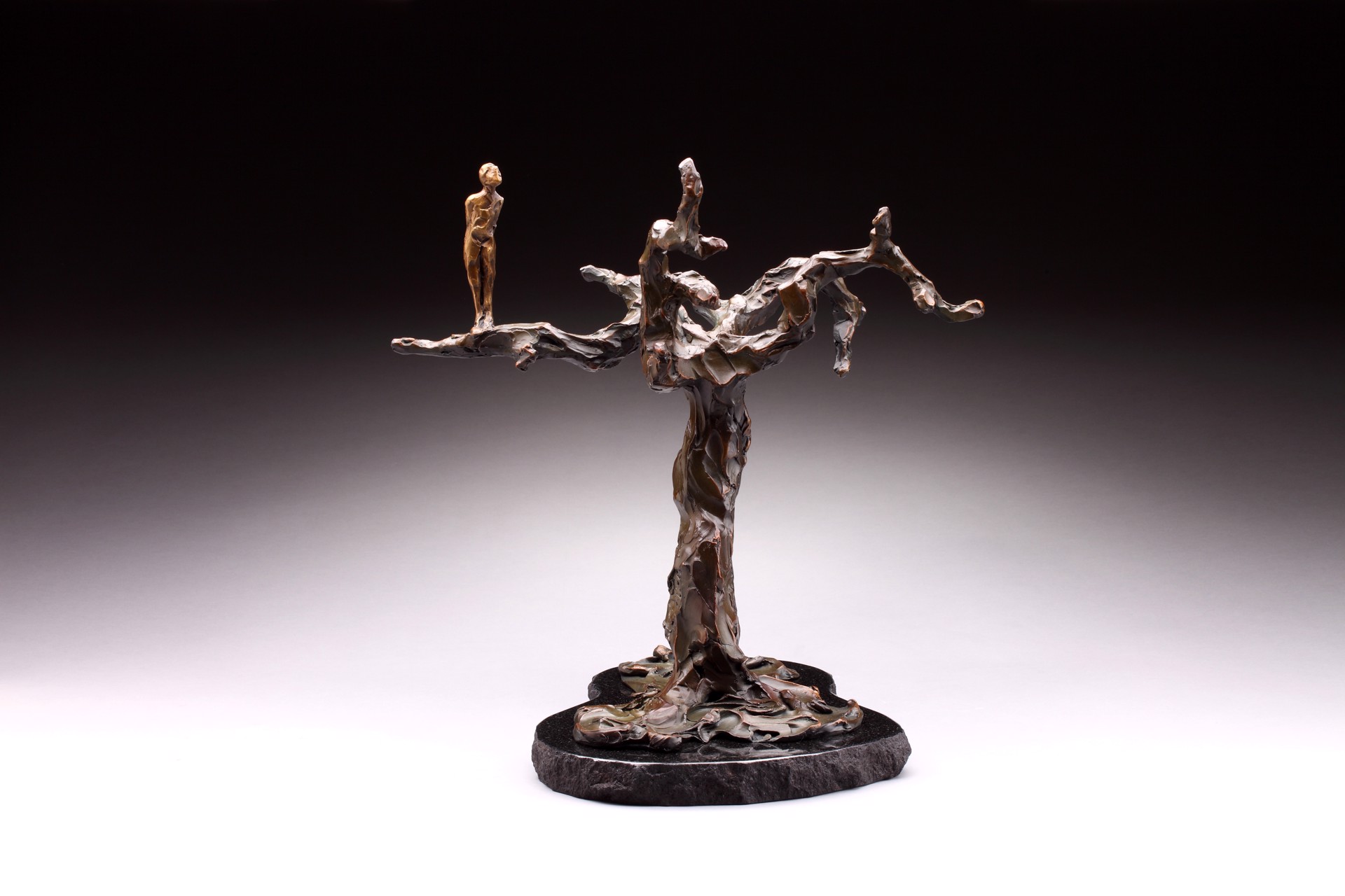 Out on a Limb by Linda Prokop