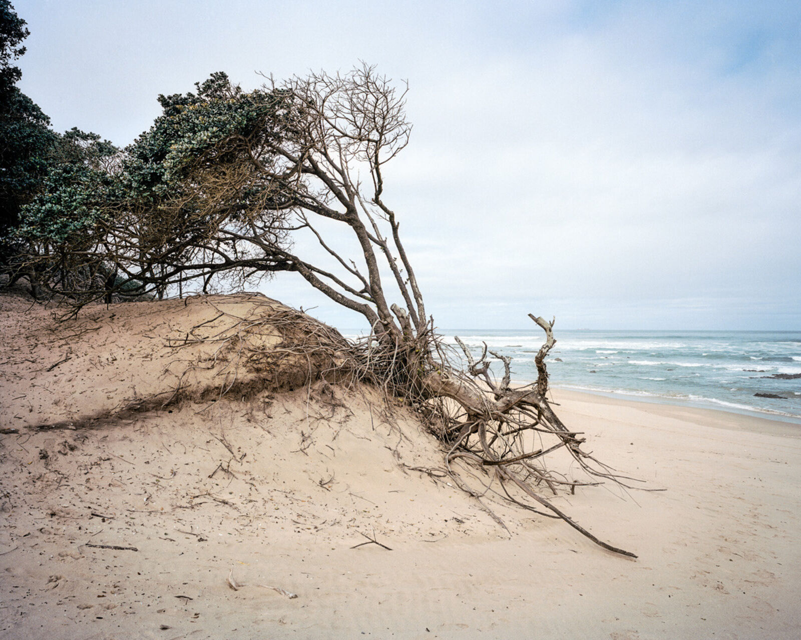 Artwork by Lindokuhle Sobekwa, Ngqeleni, Made of Inkjet print on cotton rag 