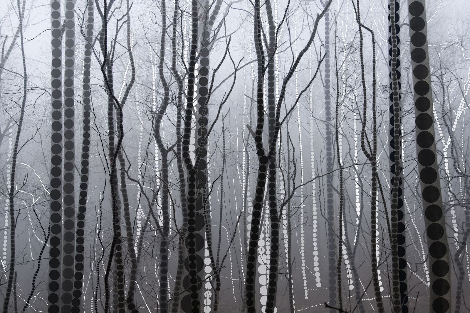 A monochromatic forest scene where tree trunks are patterned with vertical rows of black and white circles.