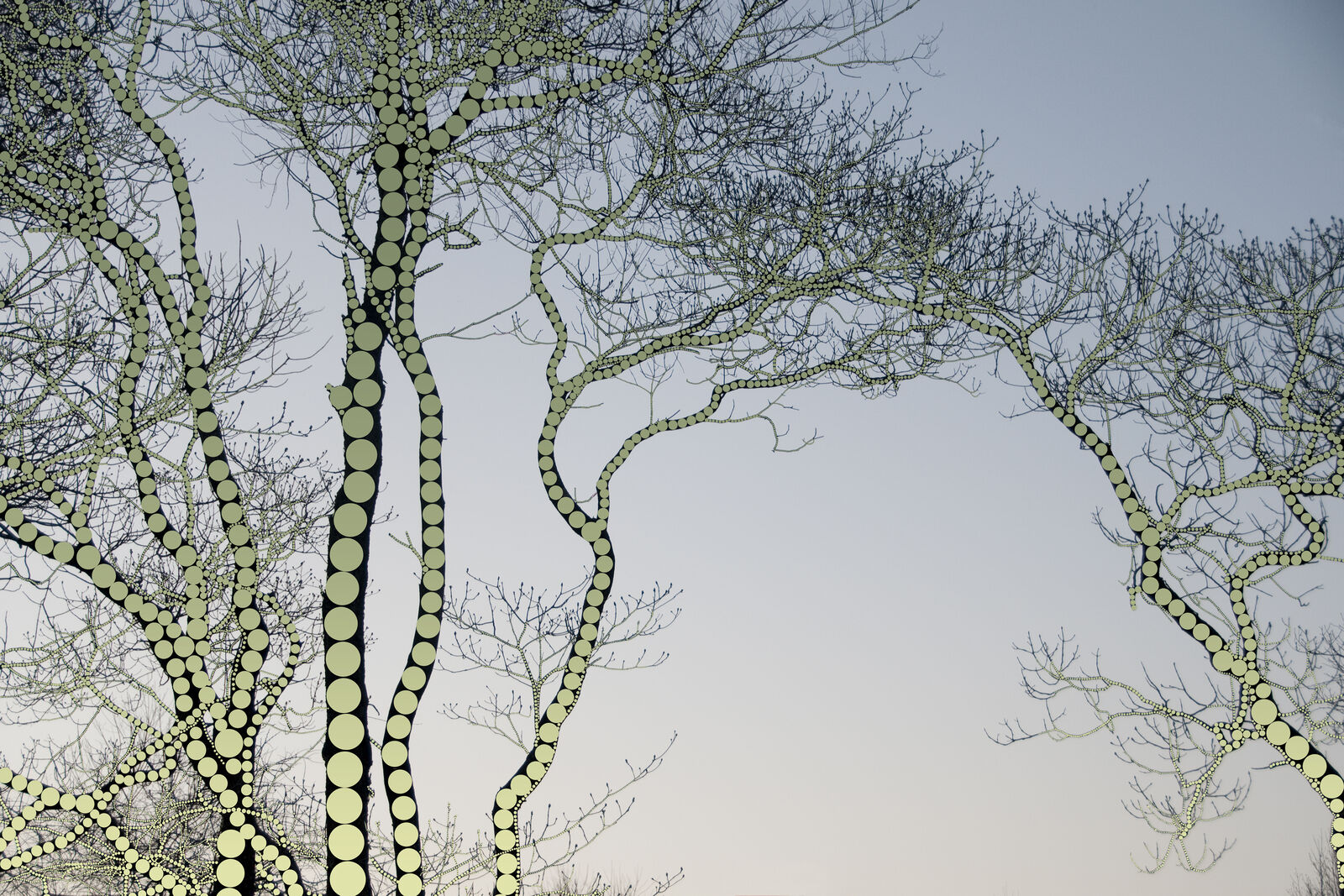 A surreal composition where tree trunks are constructed from large, pale green circles against a muted sky.