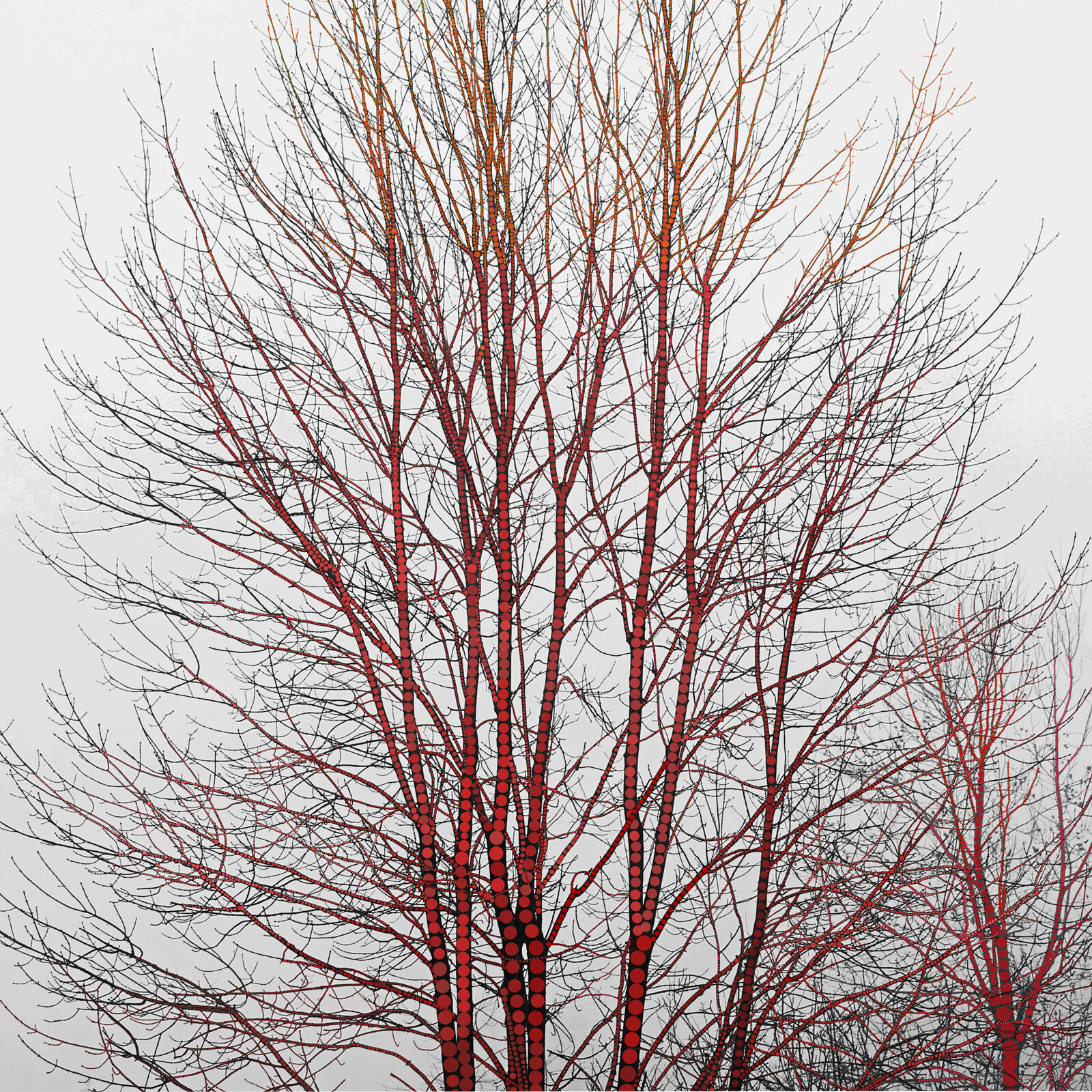 A stylized tree with red dotted trunks against a misty grey sky.