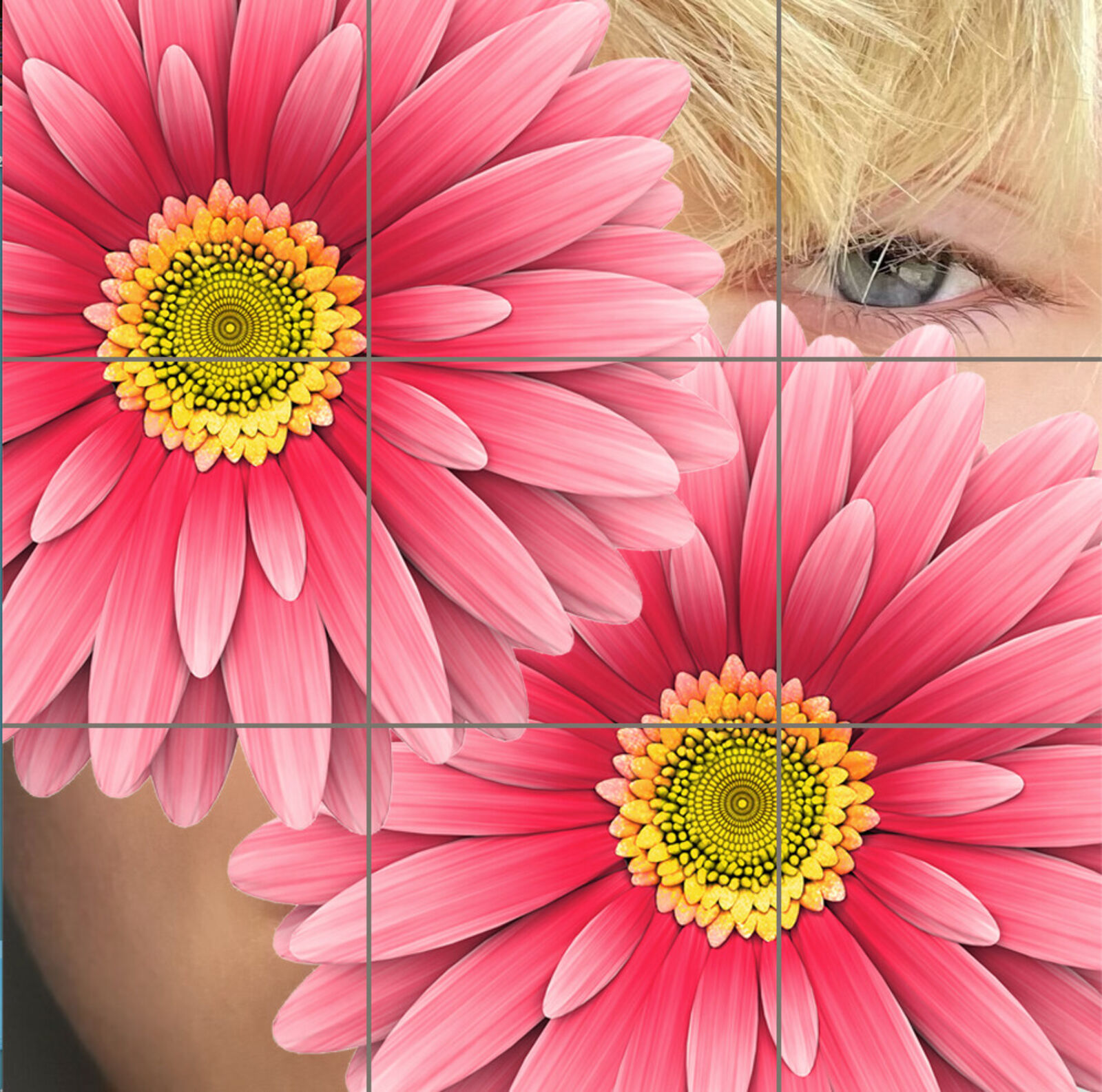 A close-up portrait featuring a person's face partially obscured by two large pink flowers.