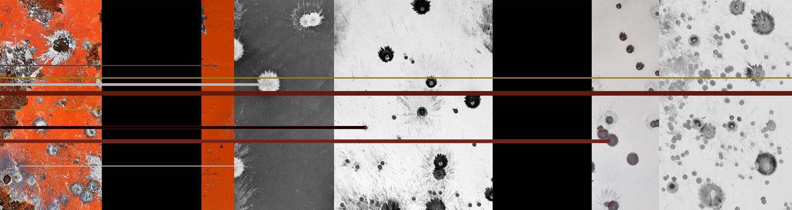 SHOT_Orange by Lisa Stefanelli, 2023